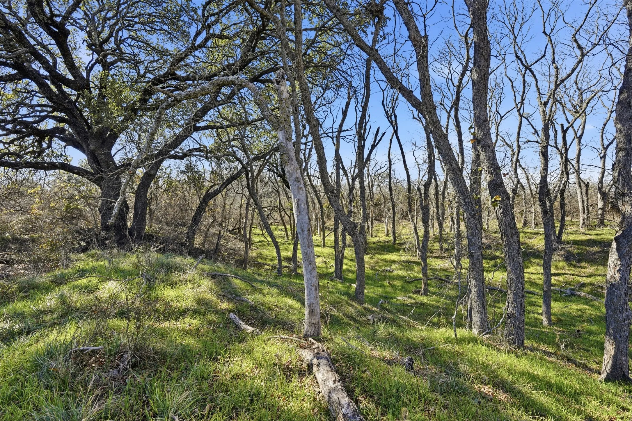 Farm For Sale in Brown County , 14725 Highway 183 N, May, Texas 76857, 2 Bedrooms, 2 Bathrooms, Garage spaces, 1,320 Sqft, built in 2017, Price $1,481,555, mls#21155398, Real Estate Agent in May, Homes For Sale in Brown county, Homes For Sale in May, Realtor in May Texas, Real Estate Brokerage Independent Realty Texas, Luminita Cordes Realtor