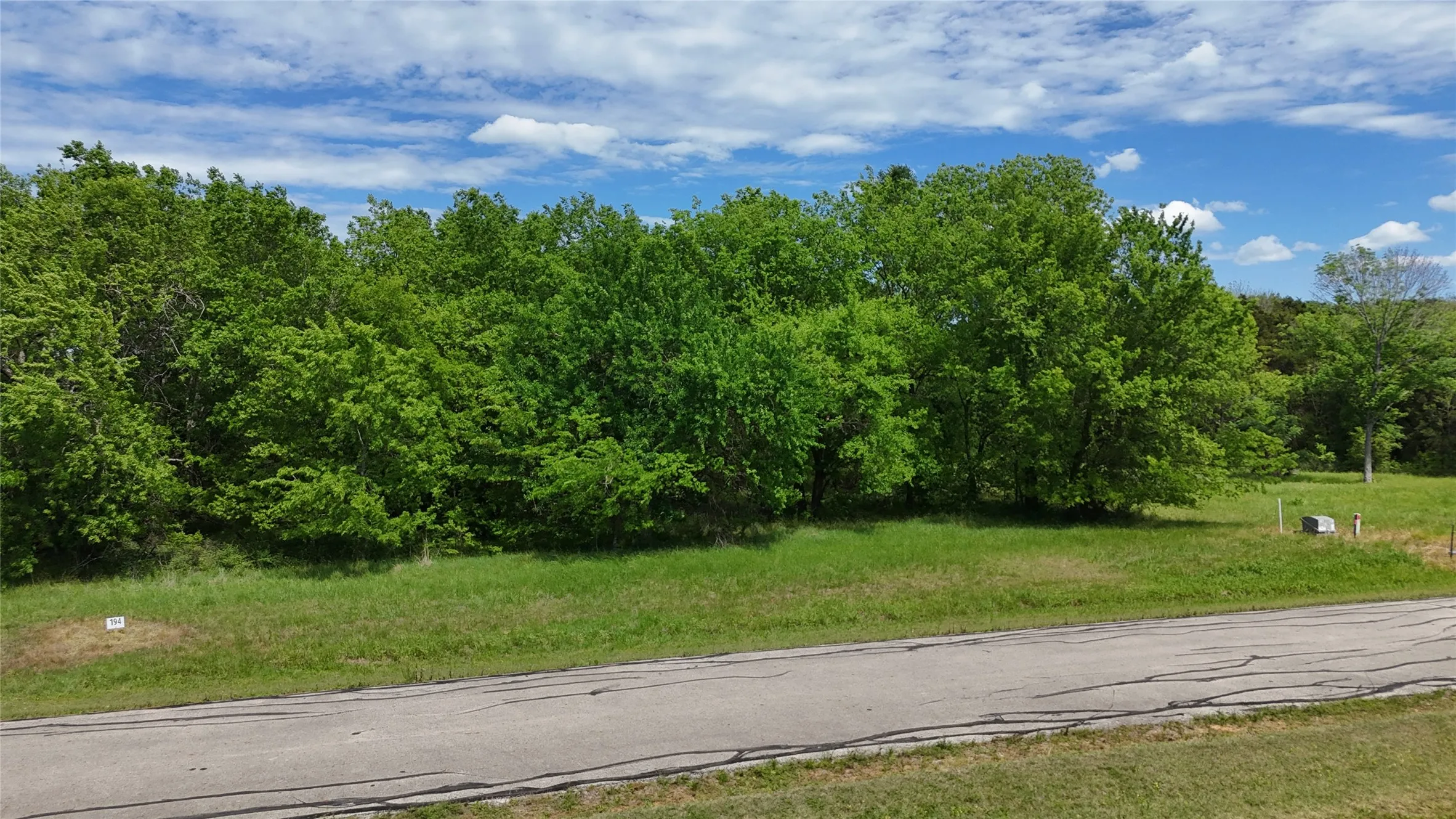 Lot 194 offers a wooded homesite in The Shores with Richland Chambers Lake visible beyond the surrounding lake community.