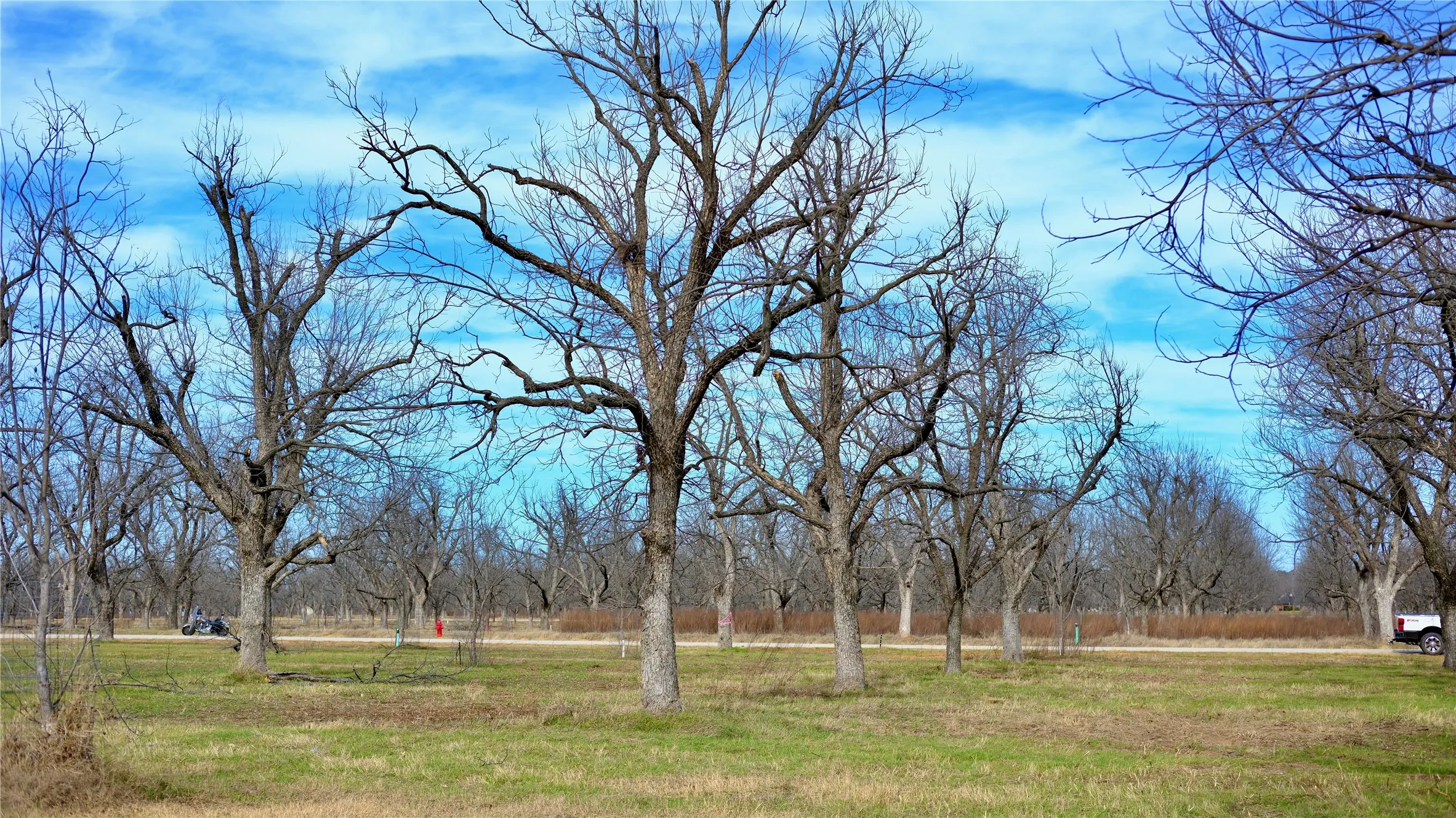 Unimproved Land For Sale in Hood County , 1625 Earhart Drive, Granbury, Texas 76049, 0, 0, Garage spaces, 0 Sqft, built in 0, mls#21149769, Real Estate Agent in Granbury, Homes For Sale in Hood county, Homes For Sale in Granbury, Realtor in Granbury Texas, Real Estate Brokerage Independent Realty Texas, Luminita Cordes Realtor