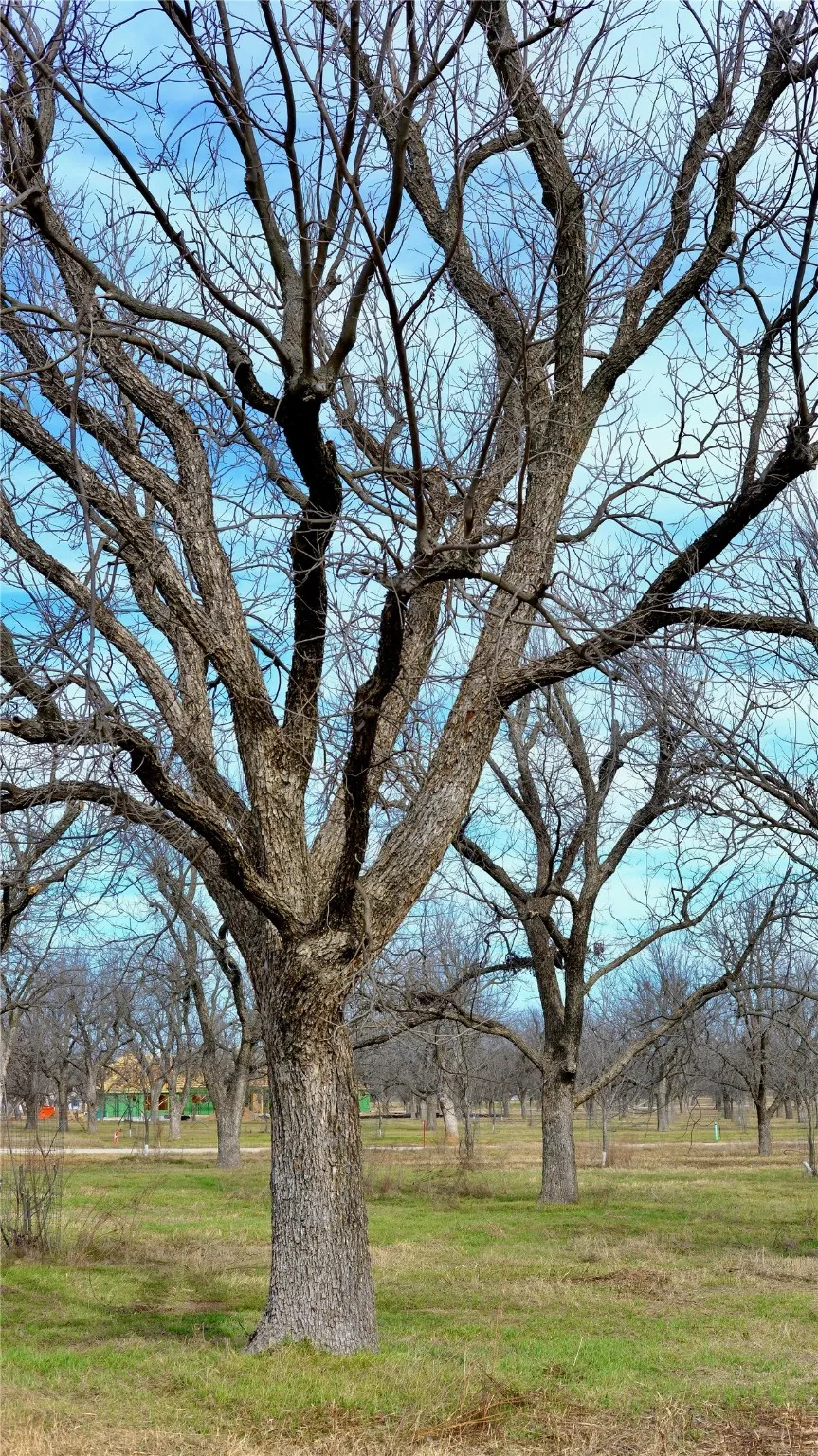 Unimproved Land For Sale in Hood County , 1625 Earhart Drive, Granbury, Texas 76049, 0, 0, Garage spaces, 0 Sqft, built in 0, mls#21149769, Real Estate Agent in Granbury, Homes For Sale in Hood county, Homes For Sale in Granbury, Realtor in Granbury Texas, Real Estate Brokerage Independent Realty Texas, Luminita Cordes Realtor