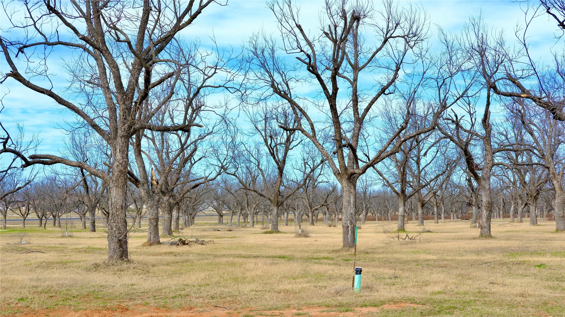 Unimproved Land For Sale in Hood County , 1700 Cirrus Loop, Granbury, Texas 76049, 0, 0, Garage spaces, 0 Sqft, built in 0, mls#21149723, Real Estate Agent in Granbury, Homes For Sale in Hood county, Homes For Sale in Granbury, Realtor in Granbury Texas, Real Estate Brokerage Independent Realty Texas, Luminita Cordes Realtor