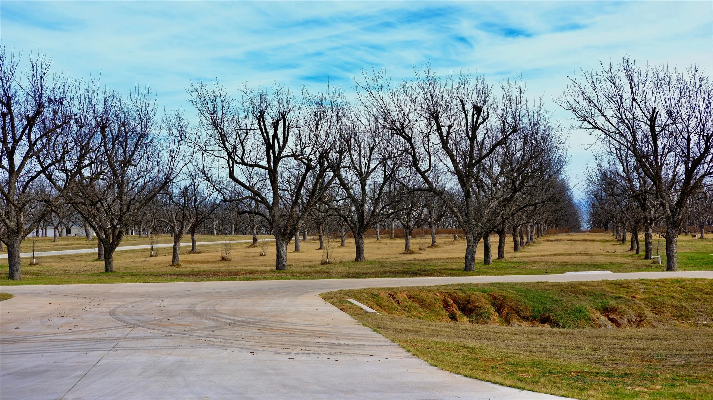 Unimproved Land For Sale in Hood County , 1700 Cirrus Loop, Granbury, Texas 76049, 0, 0, Garage spaces, 0 Sqft, built in 0, mls#21149723, Real Estate Agent in Granbury, Homes For Sale in Hood county, Homes For Sale in Granbury, Realtor in Granbury Texas, Real Estate Brokerage Independent Realty Texas, Luminita Cordes Realtor