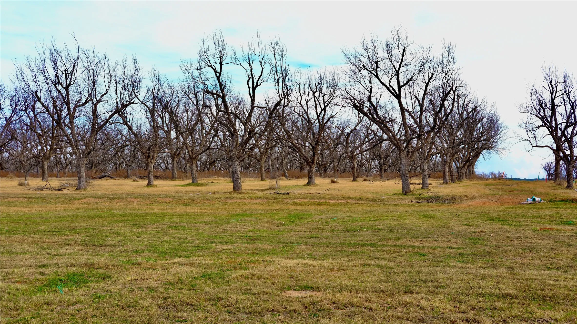 Unimproved Land For Sale in Hood County , 1700 Cirrus Loop, Granbury, Texas 76049, 0, 0, Garage spaces, 0 Sqft, built in 0, mls#21149723, Real Estate Agent in Granbury, Homes For Sale in Hood county, Homes For Sale in Granbury, Realtor in Granbury Texas, Real Estate Brokerage Independent Realty Texas, Luminita Cordes Realtor