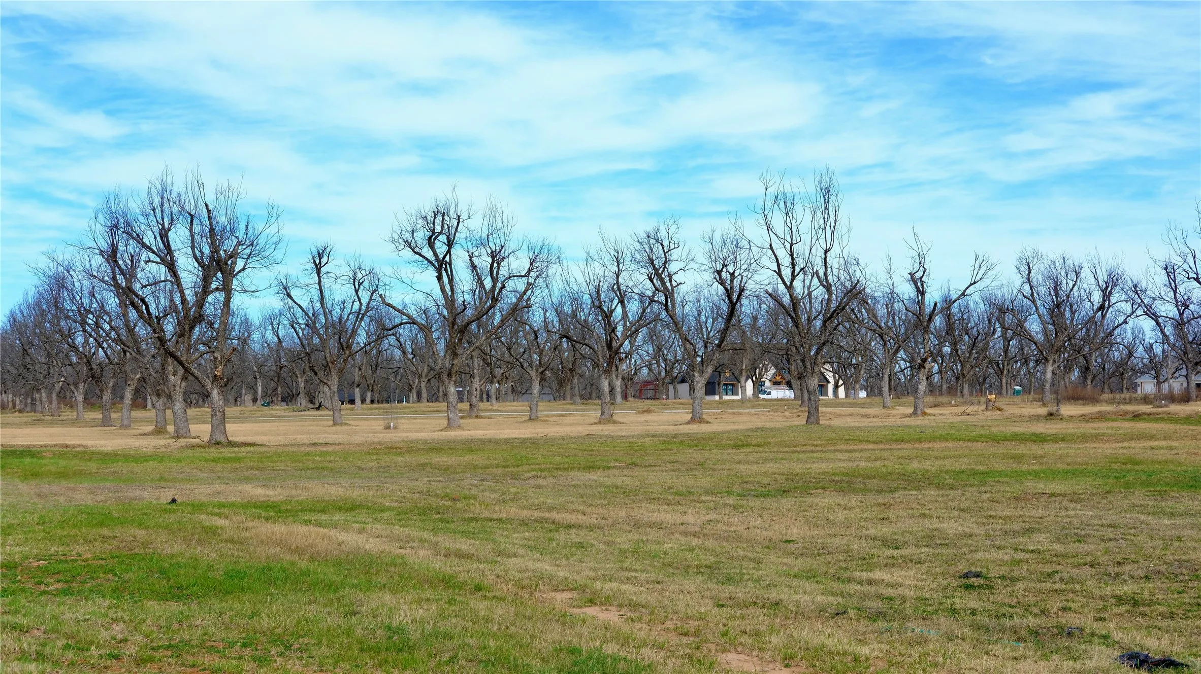 Unimproved Land For Sale in Hood County , 1700 Cirrus Loop, Granbury, Texas 76049, 0, 0, Garage spaces, 0 Sqft, built in 0, mls#21149723, Real Estate Agent in Granbury, Homes For Sale in Hood county, Homes For Sale in Granbury, Realtor in Granbury Texas, Real Estate Brokerage Independent Realty Texas, Luminita Cordes Realtor