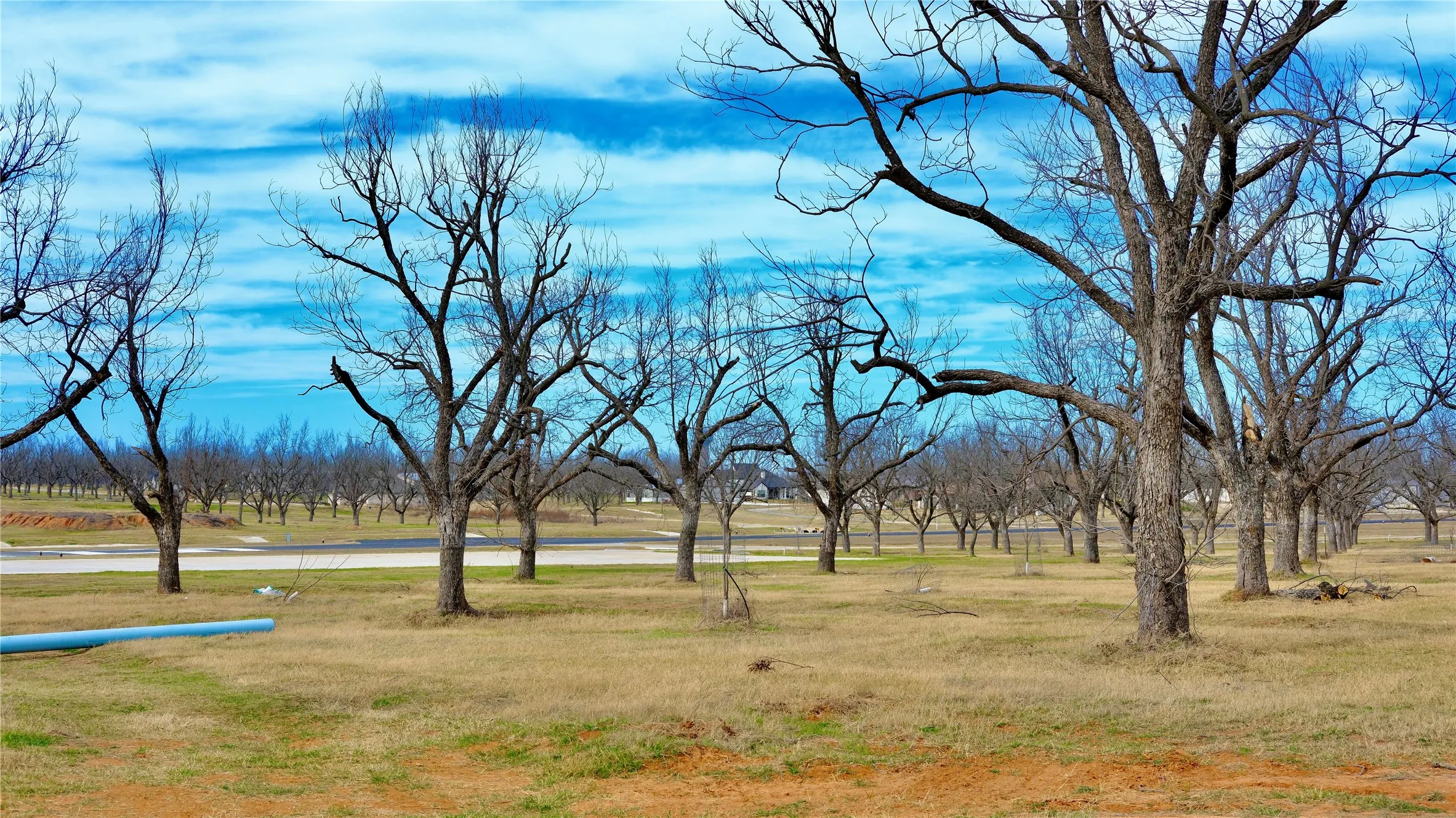 Unimproved Land For Sale in Hood County , 1700 Cirrus Loop, Granbury, Texas 76049, 0, 0, Garage spaces, 0 Sqft, built in 0, mls#21149723, Real Estate Agent in Granbury, Homes For Sale in Hood county, Homes For Sale in Granbury, Realtor in Granbury Texas, Real Estate Brokerage Independent Realty Texas, Luminita Cordes Realtor