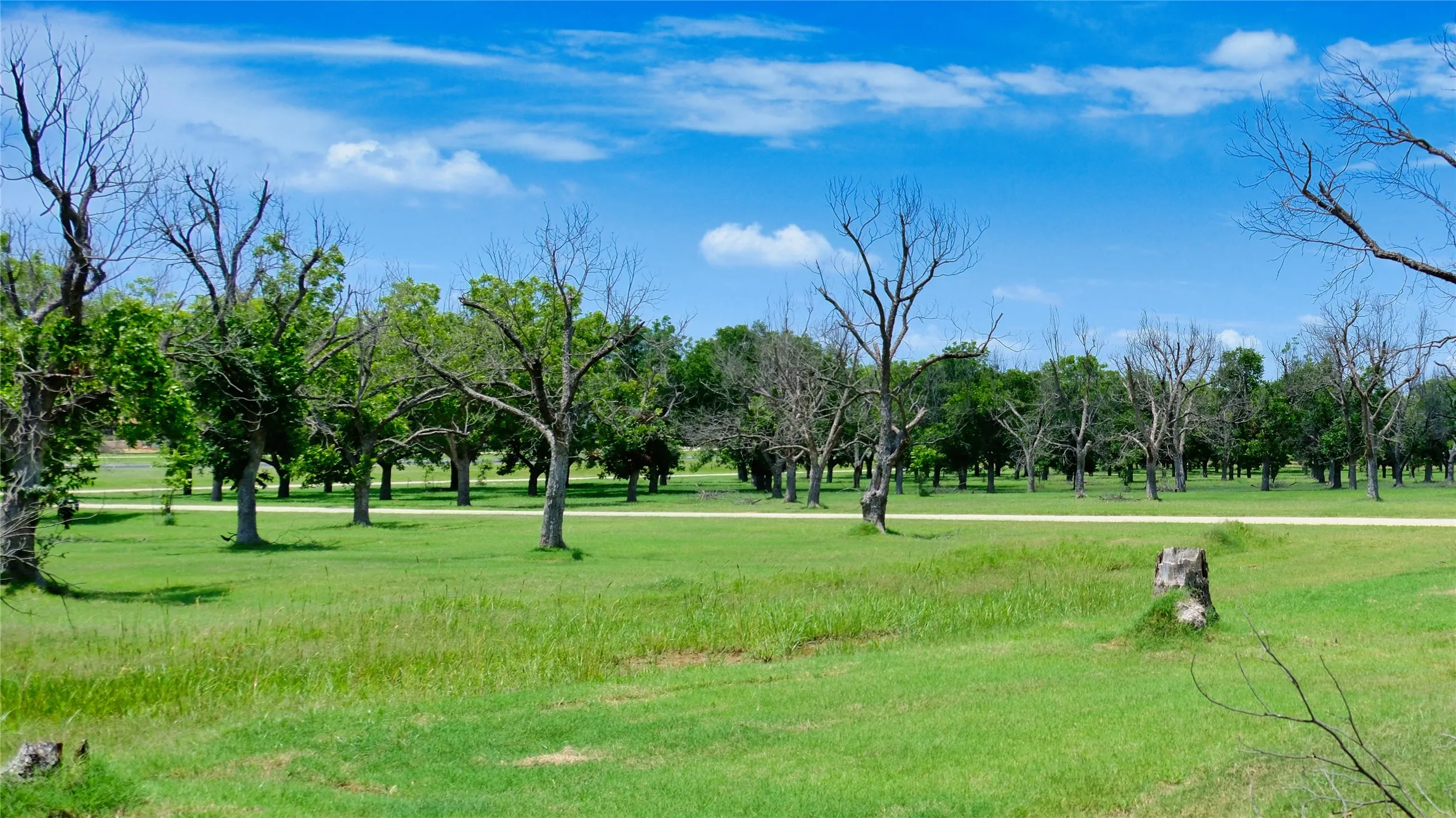 Unimproved Land For Sale in Hood County , 1700 Cirrus Loop, Granbury, Texas 76049, 0, 0, Garage spaces, 0 Sqft, built in 0, mls#21149723, Real Estate Agent in Granbury, Homes For Sale in Hood county, Homes For Sale in Granbury, Realtor in Granbury Texas, Real Estate Brokerage Independent Realty Texas, Luminita Cordes Realtor