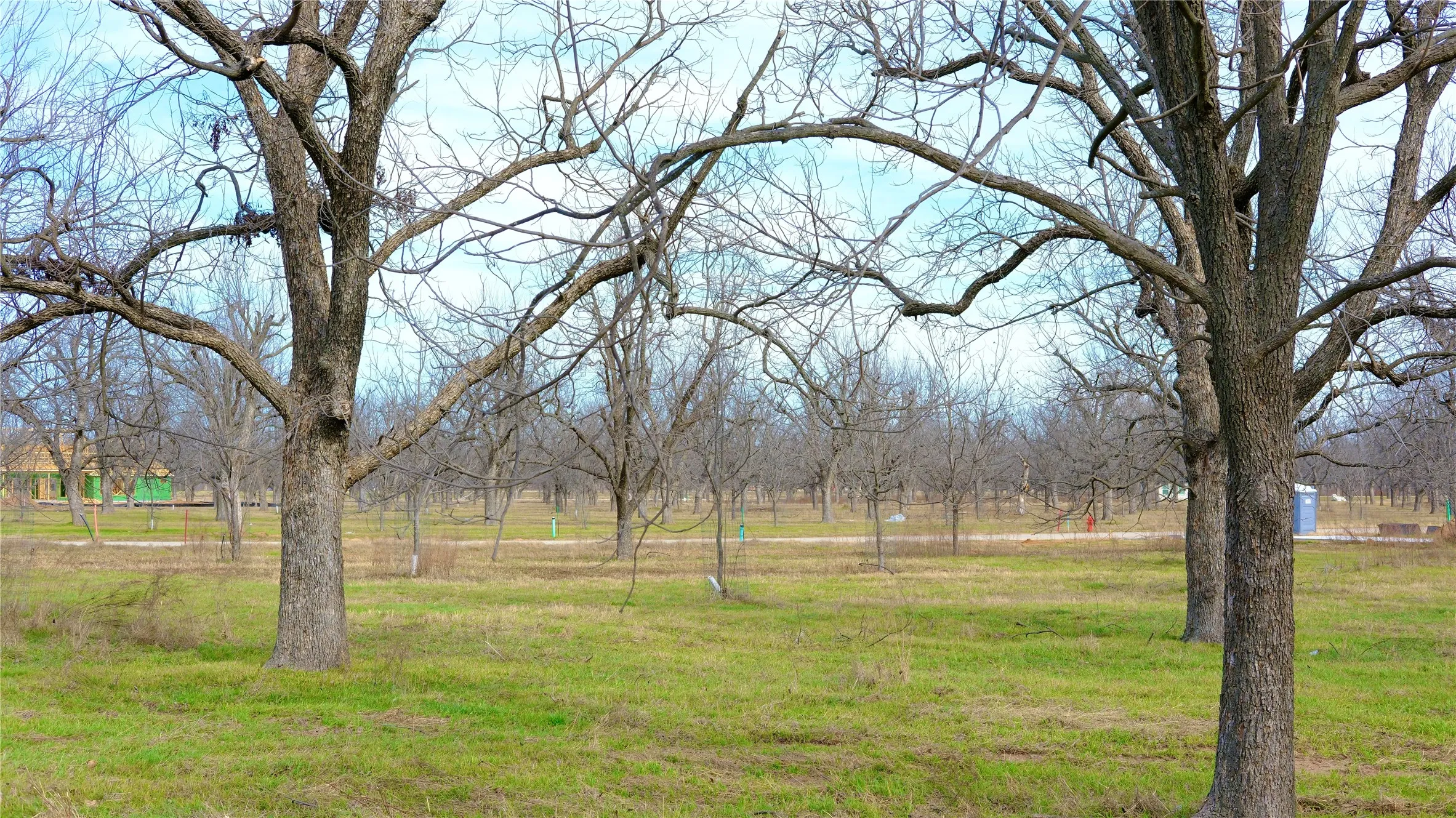 Unimproved Land For Sale in Hood County , 1700 Cirrus Loop, Granbury, Texas 76049, 0, 0, Garage spaces, 0 Sqft, built in 0, mls#21149723, Real Estate Agent in Granbury, Homes For Sale in Hood county, Homes For Sale in Granbury, Realtor in Granbury Texas, Real Estate Brokerage Independent Realty Texas, Luminita Cordes Realtor