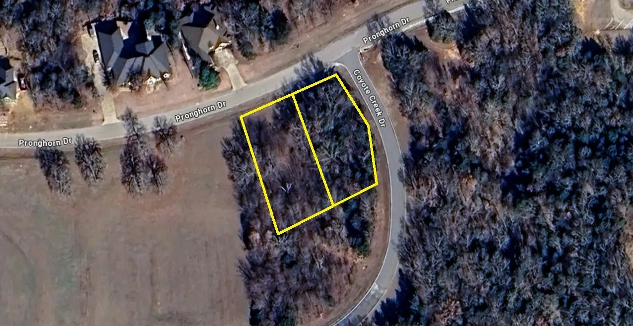 Unimproved Land For Sale in Grayson County , Lots 1B&2B Pronghorn Drive, Gordonville, Texas 76245, 0, 0, Garage spaces, 0 Sqft, built in 0, Price $80,000, mls#21155977, Real Estate Agent in Gordonville, Homes For Sale in Grayson county, Homes For Sale in Gordonville, Realtor in Gordonville Texas, Real Estate Brokerage Independent Realty Texas, Luminita Cordes Realtor