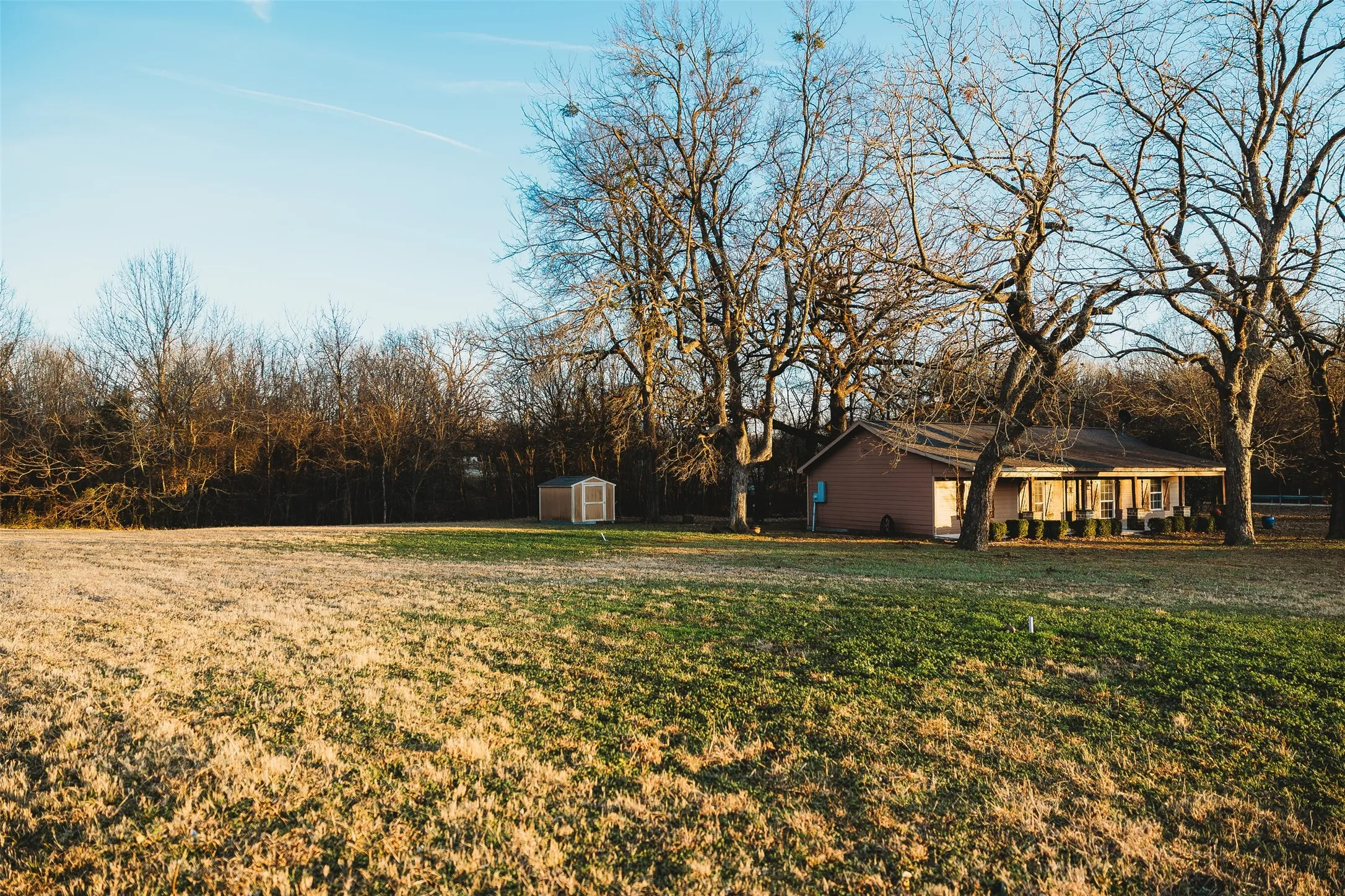 View of grassy yard with a shed
