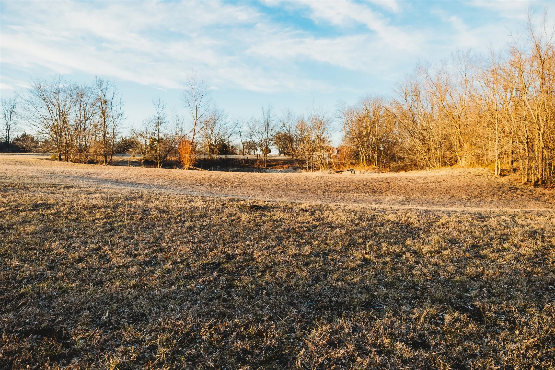 View of yard with a rural view