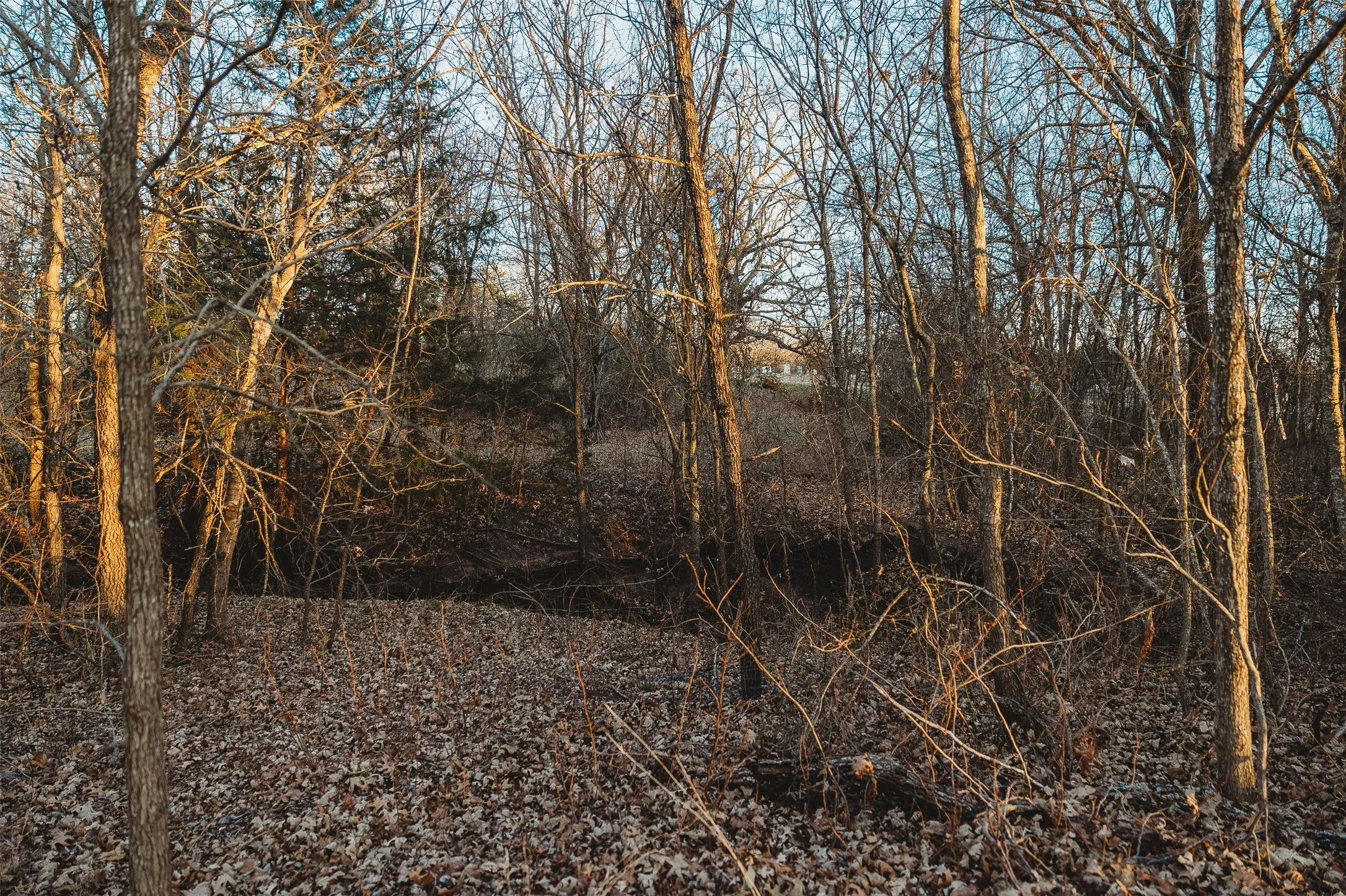 View of undeveloped land