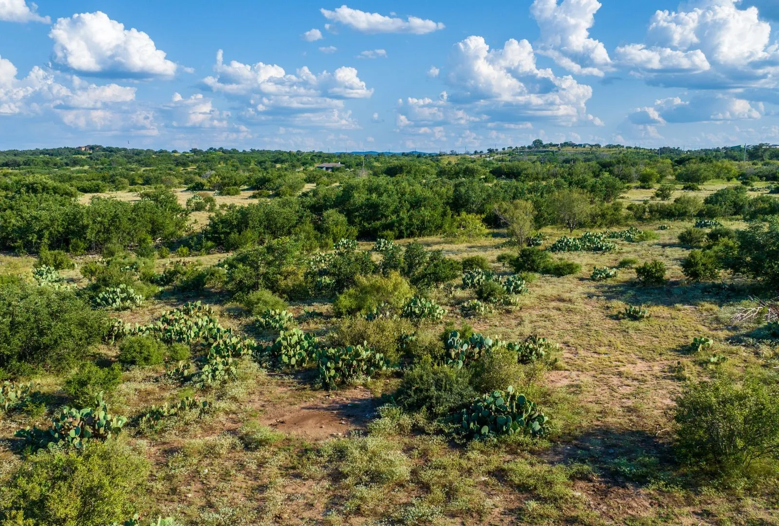 Unimproved Land For Sale in Travis County , 0 Paleface Ranch Rd, Spicewood, Texas 78669, 0, 0, Garage spaces, 0 Sqft, built in 0, Price $1,950,000, mls#21156280, Real Estate Agent in Spicewood, Homes For Sale in Travis county, Homes For Sale in Spicewood, Realtor in Spicewood Texas, Real Estate Brokerage Independent Realty Texas, Luminita Cordes Realtor