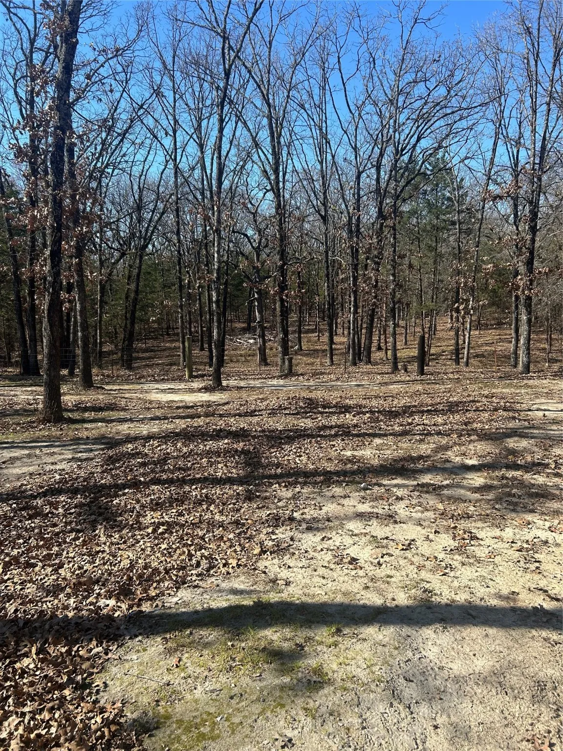 Single Family Residence For Sale in Wood County , 244 County Road 1973, Yantis, Texas 75497, 2 Bedrooms, 2 Bathrooms, Garage spaces, 931 Sqft, built in 2004, Price $197,000, mls#21156351, Real Estate Agent in Yantis, Homes For Sale in Wood county, Homes For Sale in Yantis, Realtor in Yantis Texas, Real Estate Brokerage Independent Realty Texas, Luminita Cordes Realtor