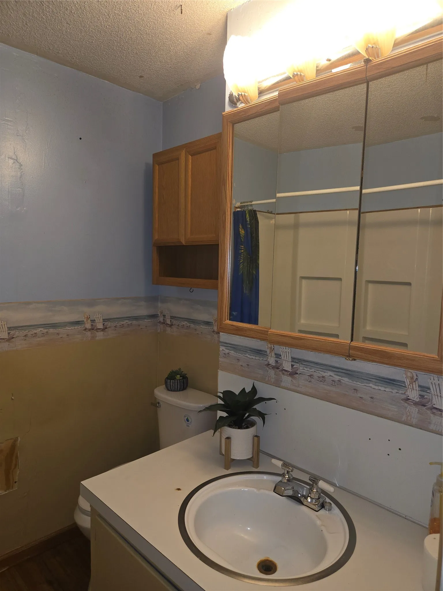 Hall bathroom