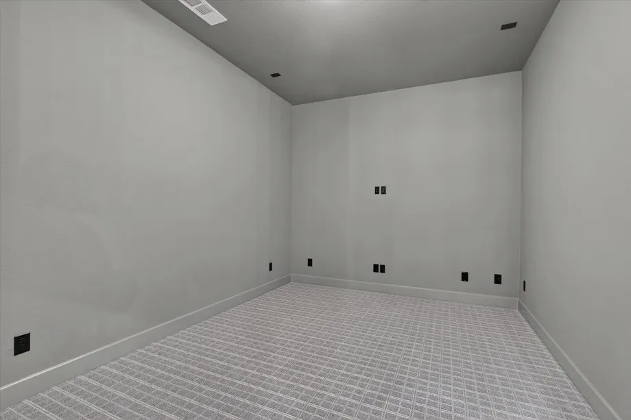 Entertainment Room