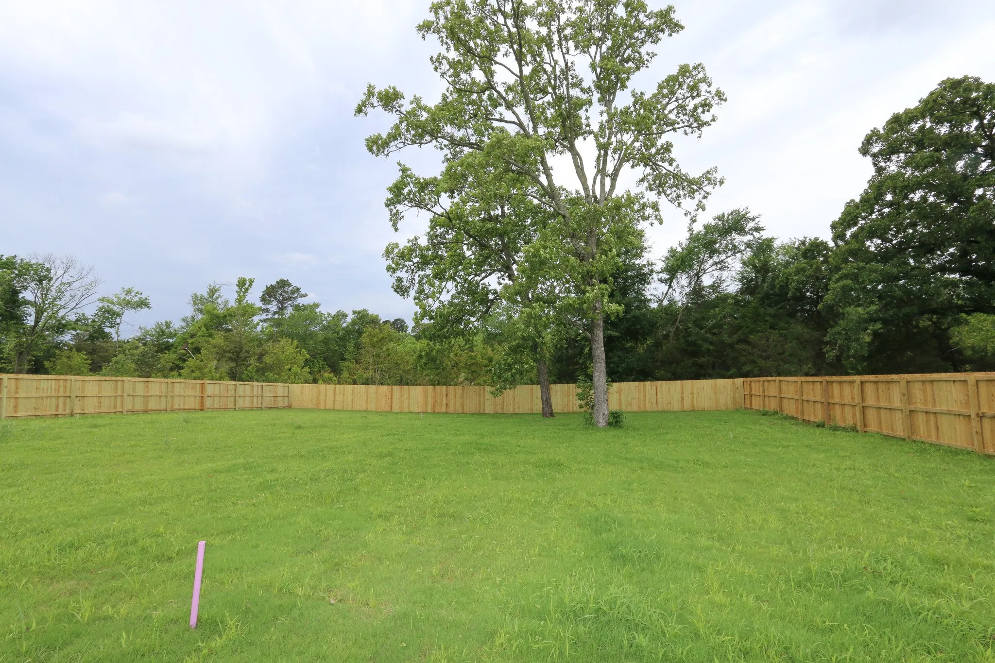 Single Family Residence For Sale in Smith County , 16503 Cooper Way, Tyler, Texas 75703, 4 Bedroom, 3 Bathroom, 2 Garage spaces, 2,402 Sqft, built in 2025, New Construction - Complete, mls#21156550, Real Estate Agent in Tyler, Homes For Sale in Smith county, Homes For Sale in Tyler, Realtor in Tyler Texas, Real Estate Brokerage Independent Realty Texas, Luminita Cordes Realtor