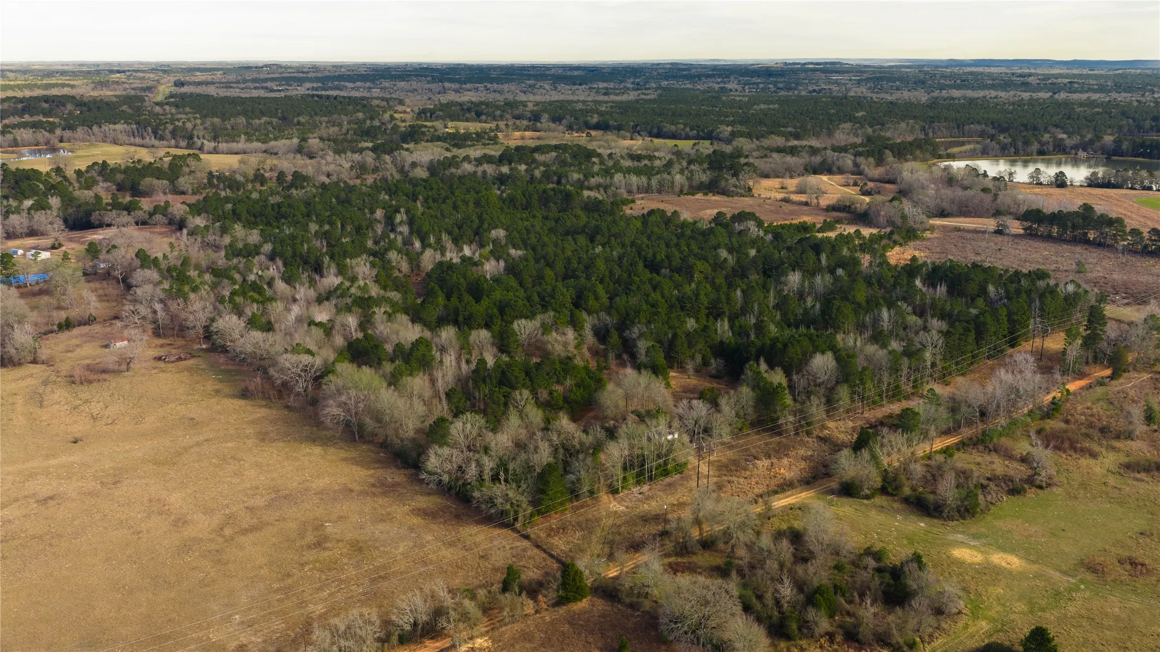Single Family Residence For Sale in Anderson County , 3662 ACR 359, Palestine, Texas 75803, 3 Bedrooms, 3 Bathrooms, 3 Garage spaces, 2,344 Sqft, built in 1972, Price $855,000, mls#21156872, Real Estate Agent in Palestine, Homes For Sale in Anderson county, Homes For Sale in Palestine, Realtor in Palestine Texas, Real Estate Brokerage Independent Realty Texas, Luminita Cordes Realtor