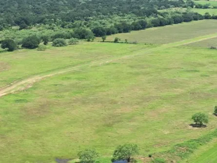 Unimproved Land For Sale in Palo Pinto County , Lot 4 Hackberry Ln, Mineral Wells, Texas 76067, 0, 0, Garage spaces, 0 Sqft, built in 0, Price $95,000, mls#21156874, Real Estate Agent in Mineral Wells, Homes For Sale in Palo Pinto county, Homes For Sale in Mineral Wells, Realtor in Mineral Wells Texas, Real Estate Brokerage Independent Realty Texas, Luminita Cordes Realtor