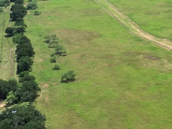 Unimproved Land For Sale in Palo Pinto County , Lot 8 Buckeye Trail, Mineral Wells, Texas 76067, 0, 0, Garage spaces, 0 Sqft, built in 0, Price $140,790, mls#21156896, Real Estate Agent in Mineral Wells, Homes For Sale in Palo Pinto county, Homes For Sale in Mineral Wells, Realtor in Mineral Wells Texas, Real Estate Brokerage Independent Realty Texas, Luminita Cordes Realtor