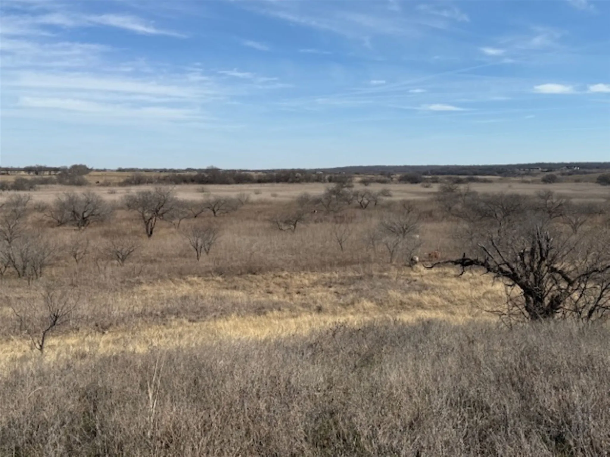 Ranch For Sale in Hill County , 363 County Road 4403, Grandview, Texas 76050, 0, 0, Garage spaces, 0 Sqft, built in 0, mls#21156743, Real Estate Agent in Grandview, Homes For Sale in Hill county, Homes For Sale in Grandview, Realtor in Grandview Texas, Real Estate Brokerage Independent Realty Texas, Luminita Cordes Realtor