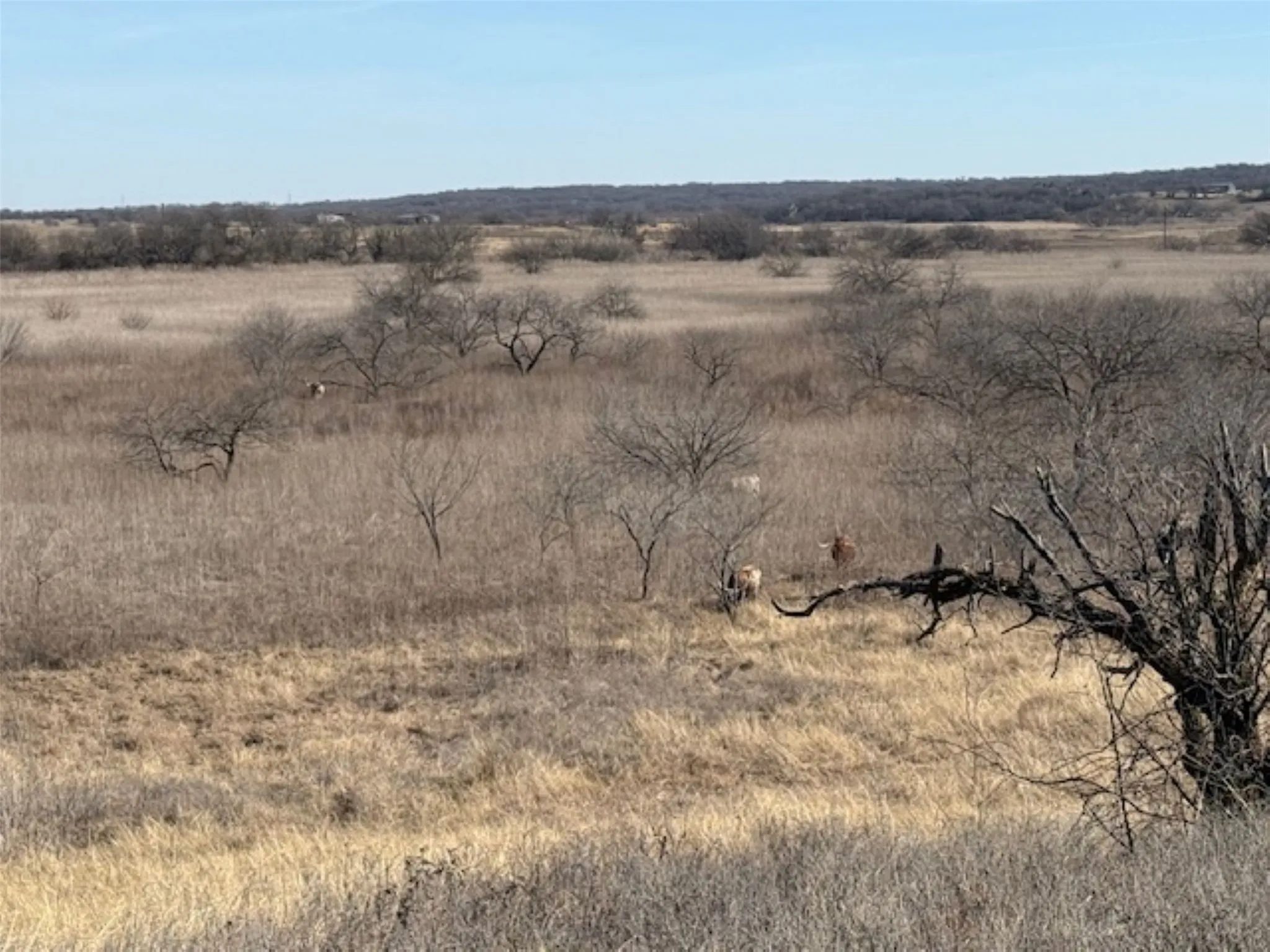Ranch For Sale in Hill County , 363 County Road 4403, Grandview, Texas 76050, 0, 0, Garage spaces, 0 Sqft, built in 0, mls#21156743, Real Estate Agent in Grandview, Homes For Sale in Hill county, Homes For Sale in Grandview, Realtor in Grandview Texas, Real Estate Brokerage Independent Realty Texas, Luminita Cordes Realtor