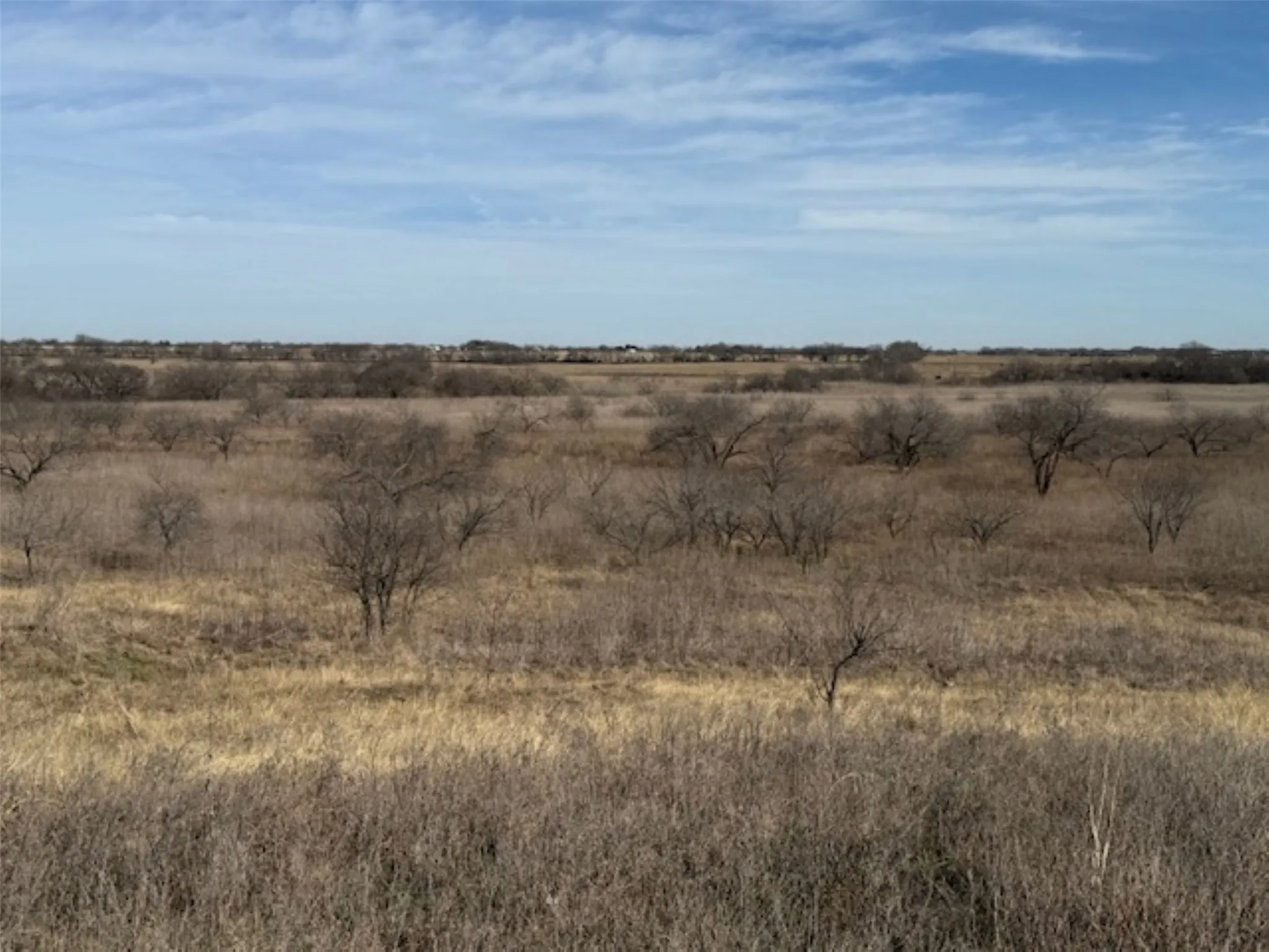Ranch For Sale in Hill County , 363 County Road 4403, Grandview, Texas 76050, 0, 0, Garage spaces, 0 Sqft, built in 0, mls#21156743, Real Estate Agent in Grandview, Homes For Sale in Hill county, Homes For Sale in Grandview, Realtor in Grandview Texas, Real Estate Brokerage Independent Realty Texas, Luminita Cordes Realtor