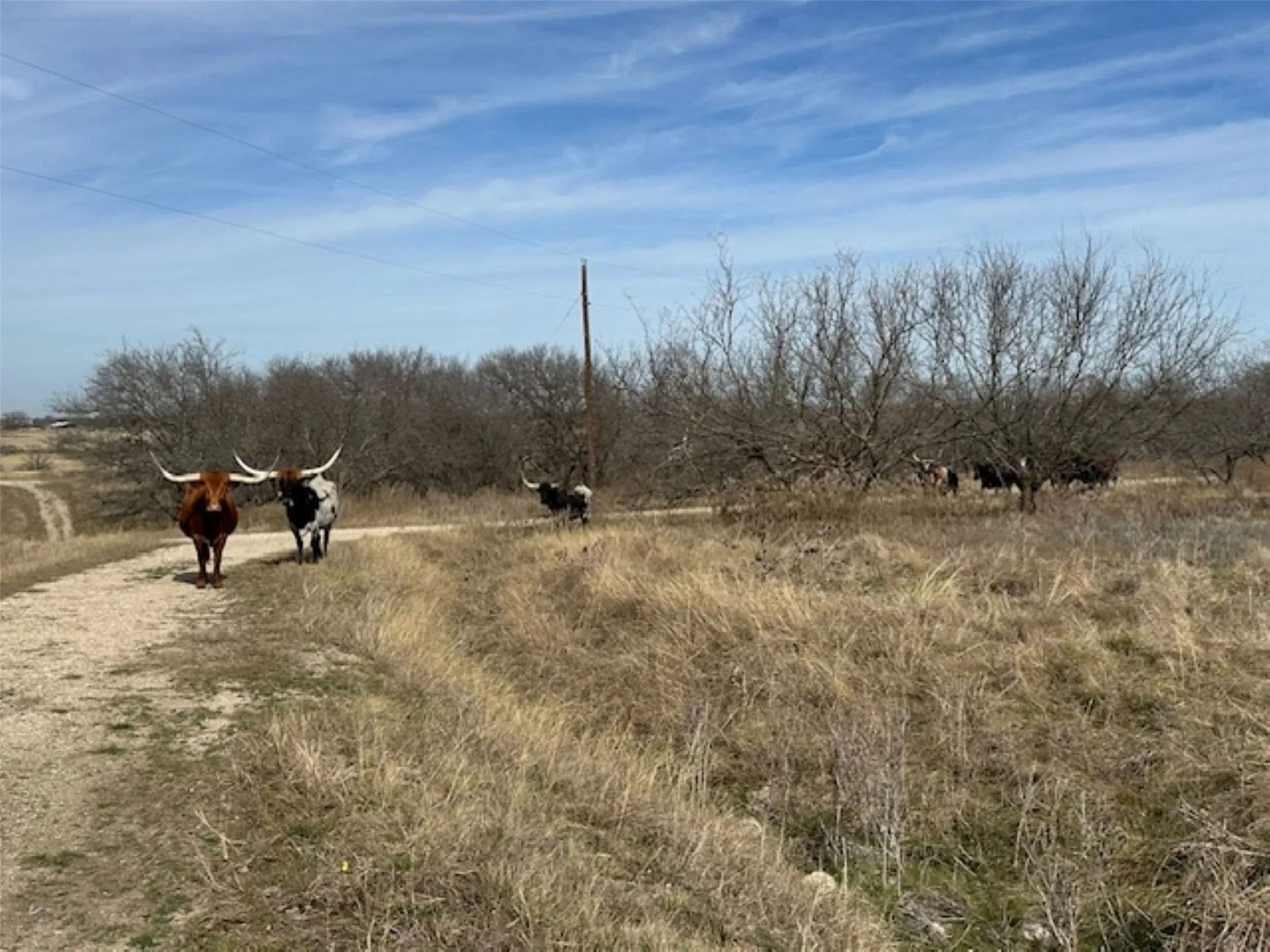 Ranch For Sale in Hill County , 363 County Road 4403, Grandview, Texas 76050, 0, 0, Garage spaces, 0 Sqft, built in 0, mls#21156743, Real Estate Agent in Grandview, Homes For Sale in Hill county, Homes For Sale in Grandview, Realtor in Grandview Texas, Real Estate Brokerage Independent Realty Texas, Luminita Cordes Realtor