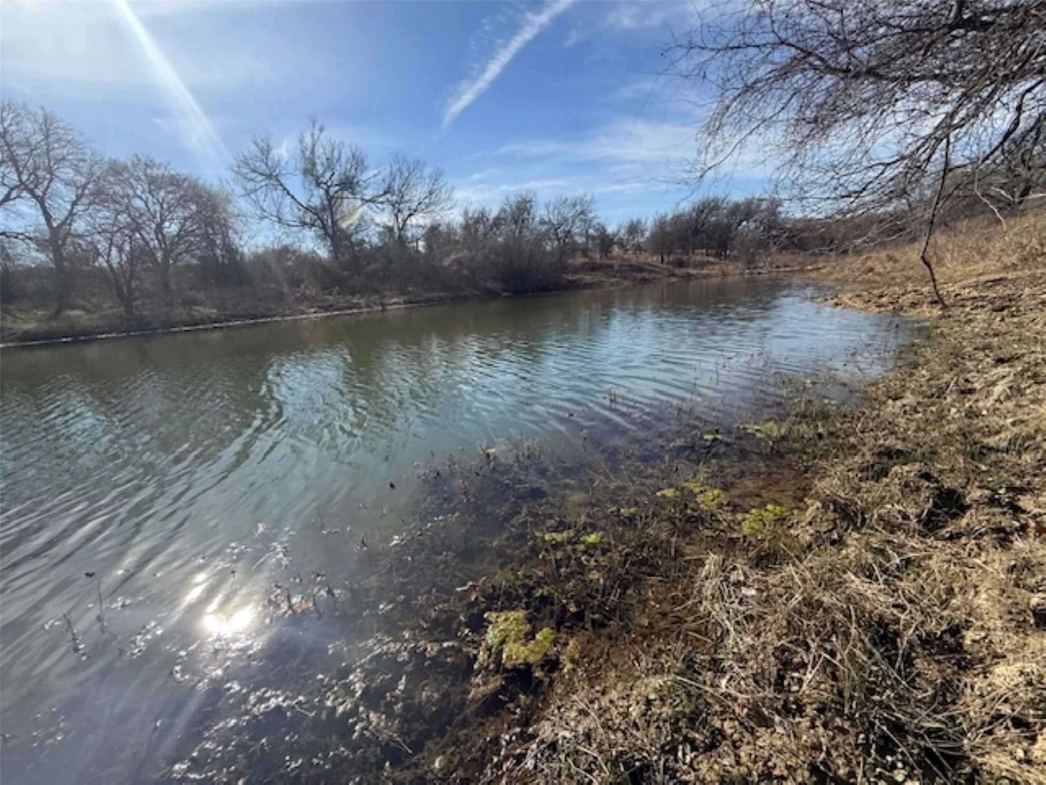 Ranch For Sale in Hill County , 363 County Road 4403, Grandview, Texas 76050, 0, 0, Garage spaces, 0 Sqft, built in 0, mls#21156743, Real Estate Agent in Grandview, Homes For Sale in Hill county, Homes For Sale in Grandview, Realtor in Grandview Texas, Real Estate Brokerage Independent Realty Texas, Luminita Cordes Realtor