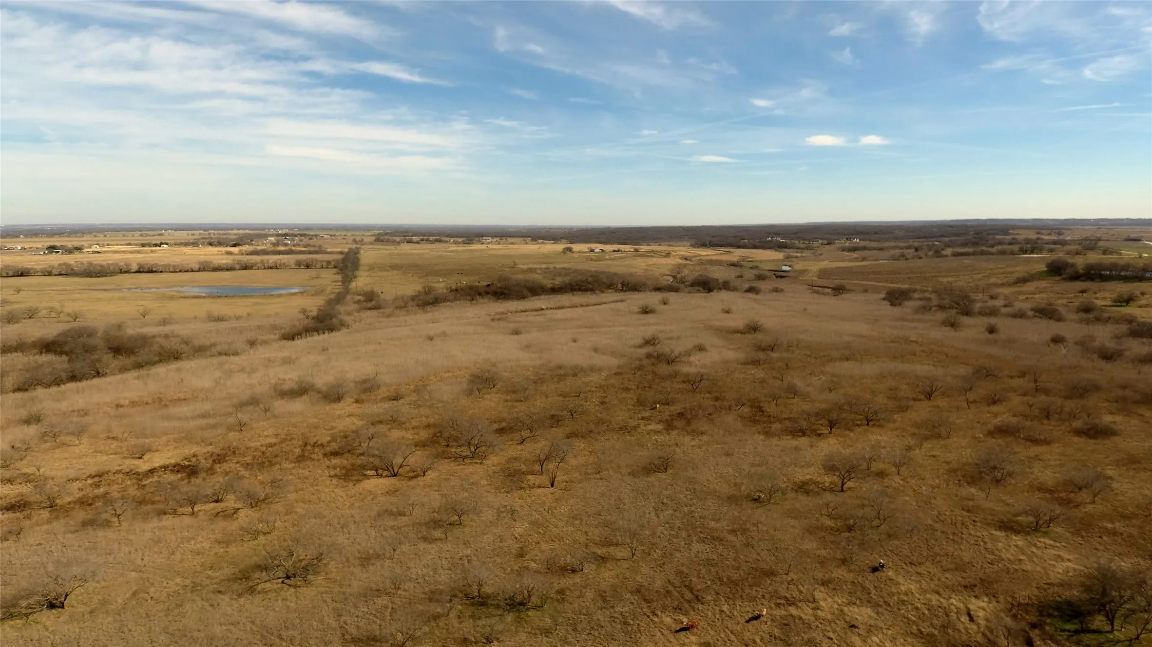 Ranch For Sale in Hill County , 363 County Road 4403, Grandview, Texas 76050, 0, 0, Garage spaces, 0 Sqft, built in 0, mls#21156743, Real Estate Agent in Grandview, Homes For Sale in Hill county, Homes For Sale in Grandview, Realtor in Grandview Texas, Real Estate Brokerage Independent Realty Texas, Luminita Cordes Realtor