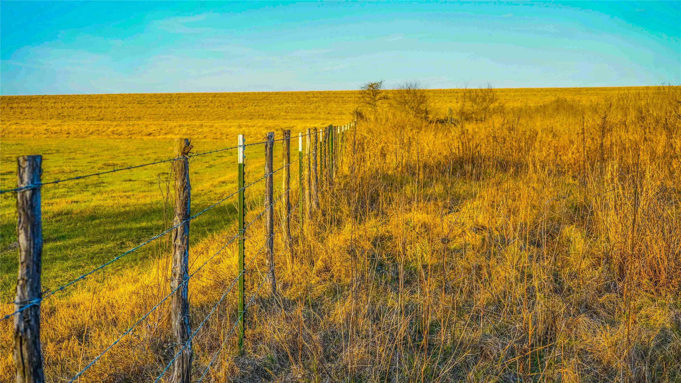 Ranch For Sale in Bell County , 4480 Cen Tex Loop, Temple, Texas 76501, 0, 0, Garage spaces, 0 Sqft, built in 0, Price $500,000, mls#21155275, Real Estate Agent in Temple, Homes For Sale in Bell county, Homes For Sale in Temple, Realtor in Temple Texas, Real Estate Brokerage Independent Realty Texas, Luminita Cordes Realtor