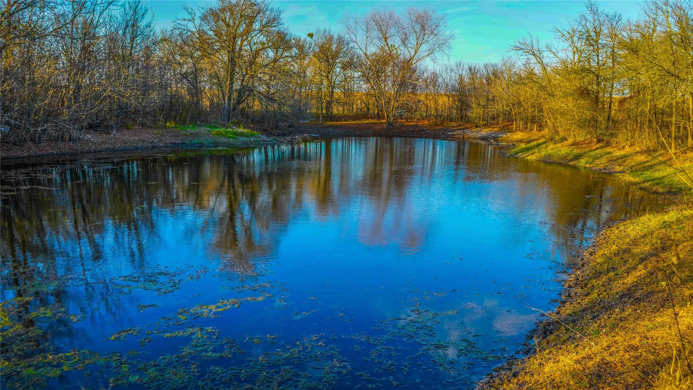 Ranch For Sale in Bell County , 4480 Cen Tex Loop, Temple, Texas 76501, 0, 0, Garage spaces, 0 Sqft, built in 0, Price $500,000, mls#21155275, Real Estate Agent in Temple, Homes For Sale in Bell county, Homes For Sale in Temple, Realtor in Temple Texas, Real Estate Brokerage Independent Realty Texas, Luminita Cordes Realtor