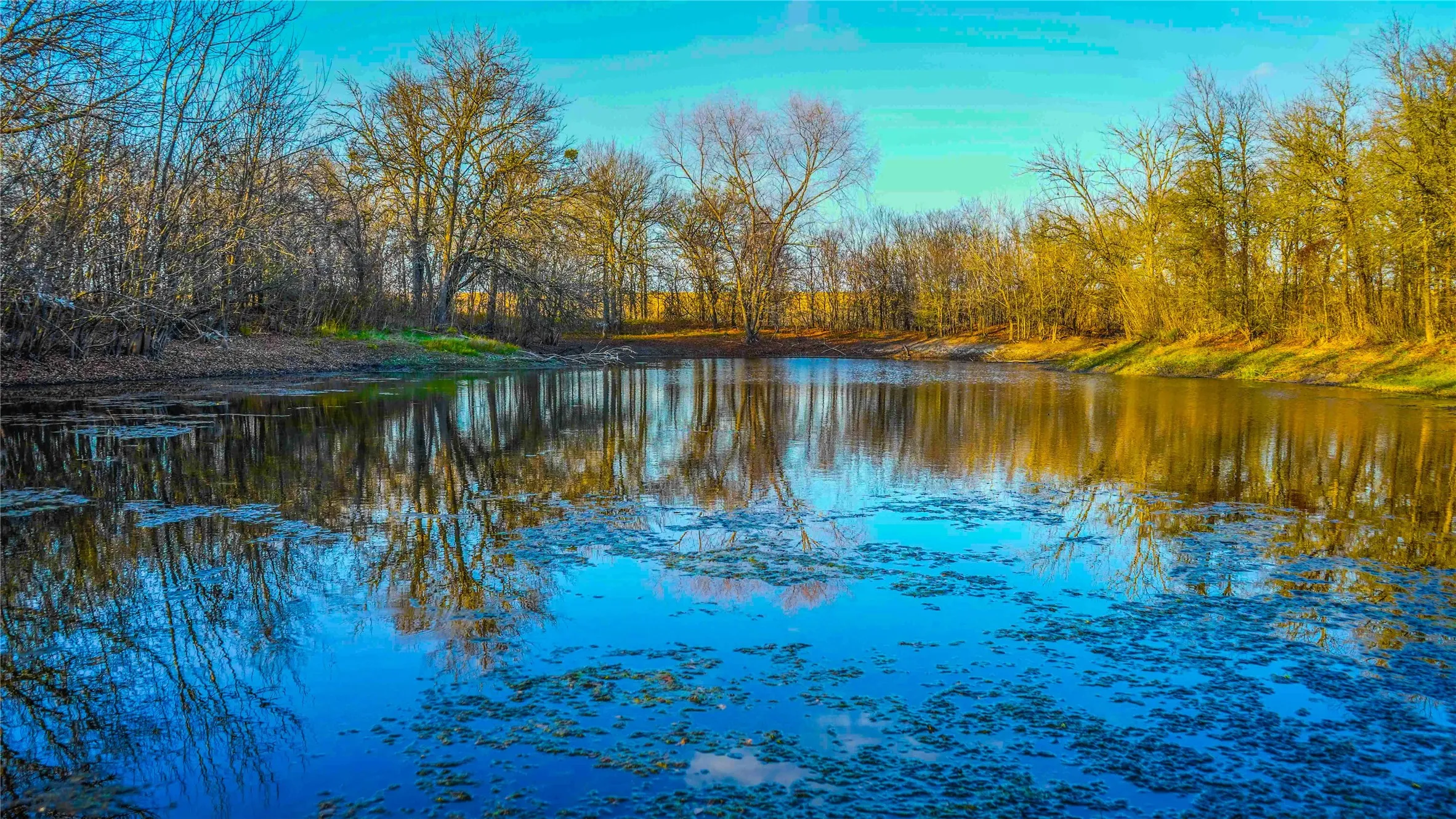 Ranch For Sale in Bell County , 4480 Cen Tex Loop, Temple, Texas 76501, 0, 0, Garage spaces, 0 Sqft, built in 0, Price $500,000, mls#21155275, Real Estate Agent in Temple, Homes For Sale in Bell county, Homes For Sale in Temple, Realtor in Temple Texas, Real Estate Brokerage Independent Realty Texas, Luminita Cordes Realtor