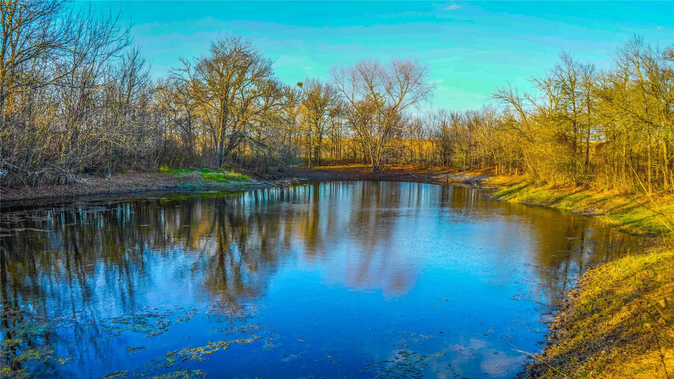Ranch For Sale in Bell County , 4480 Cen Tex Loop, Temple, Texas 76501, 0, 0, Garage spaces, 0 Sqft, built in 0, Price $500,000, mls#21155275, Real Estate Agent in Temple, Homes For Sale in Bell county, Homes For Sale in Temple, Realtor in Temple Texas, Real Estate Brokerage Independent Realty Texas, Luminita Cordes Realtor