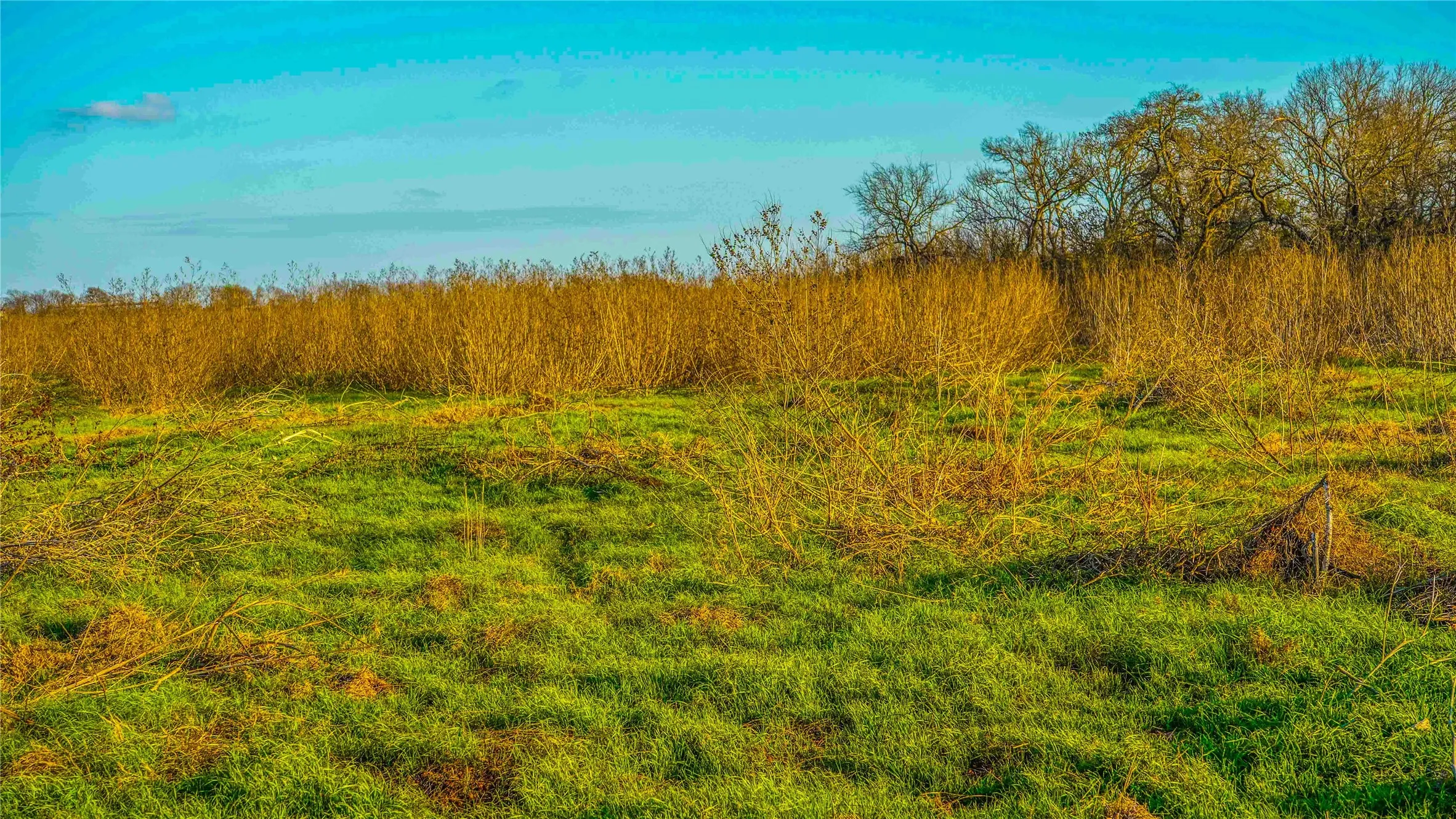 Ranch For Sale in Bell County , 4480 Cen Tex Loop, Temple, Texas 76501, 0, 0, Garage spaces, 0 Sqft, built in 0, Price $500,000, mls#21155275, Real Estate Agent in Temple, Homes For Sale in Bell county, Homes For Sale in Temple, Realtor in Temple Texas, Real Estate Brokerage Independent Realty Texas, Luminita Cordes Realtor