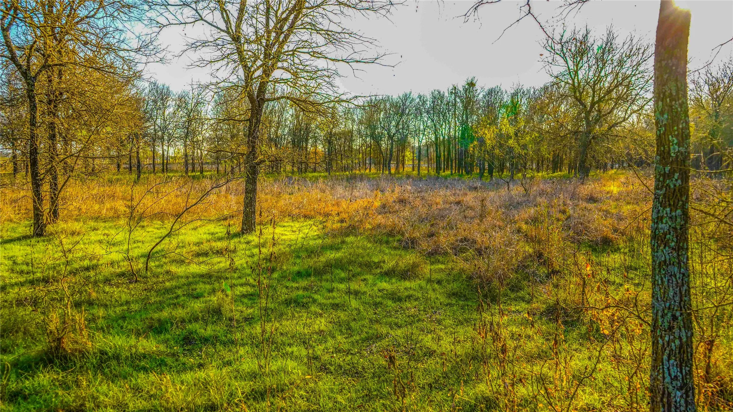 Ranch For Sale in Bell County , 4480 Cen Tex Loop, Temple, Texas 76501, 0, 0, Garage spaces, 0 Sqft, built in 0, Price $500,000, mls#21155275, Real Estate Agent in Temple, Homes For Sale in Bell county, Homes For Sale in Temple, Realtor in Temple Texas, Real Estate Brokerage Independent Realty Texas, Luminita Cordes Realtor