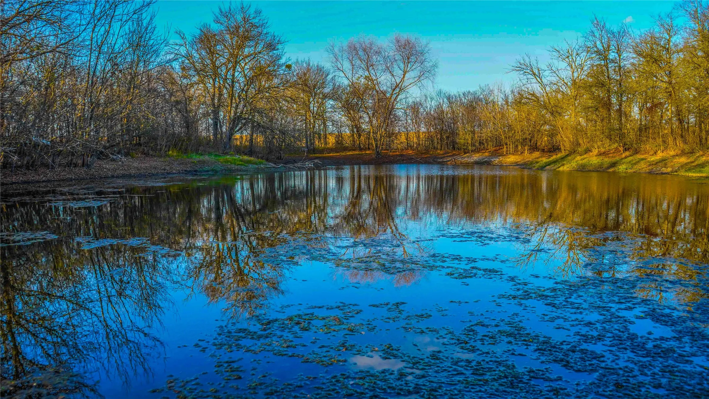 Ranch For Sale in Bell County , 4480 Cen Tex Loop, Temple, Texas 76501, 0, 0, Garage spaces, 0 Sqft, built in 0, Price $500,000, mls#21155275, Real Estate Agent in Temple, Homes For Sale in Bell county, Homes For Sale in Temple, Realtor in Temple Texas, Real Estate Brokerage Independent Realty Texas, Luminita Cordes Realtor