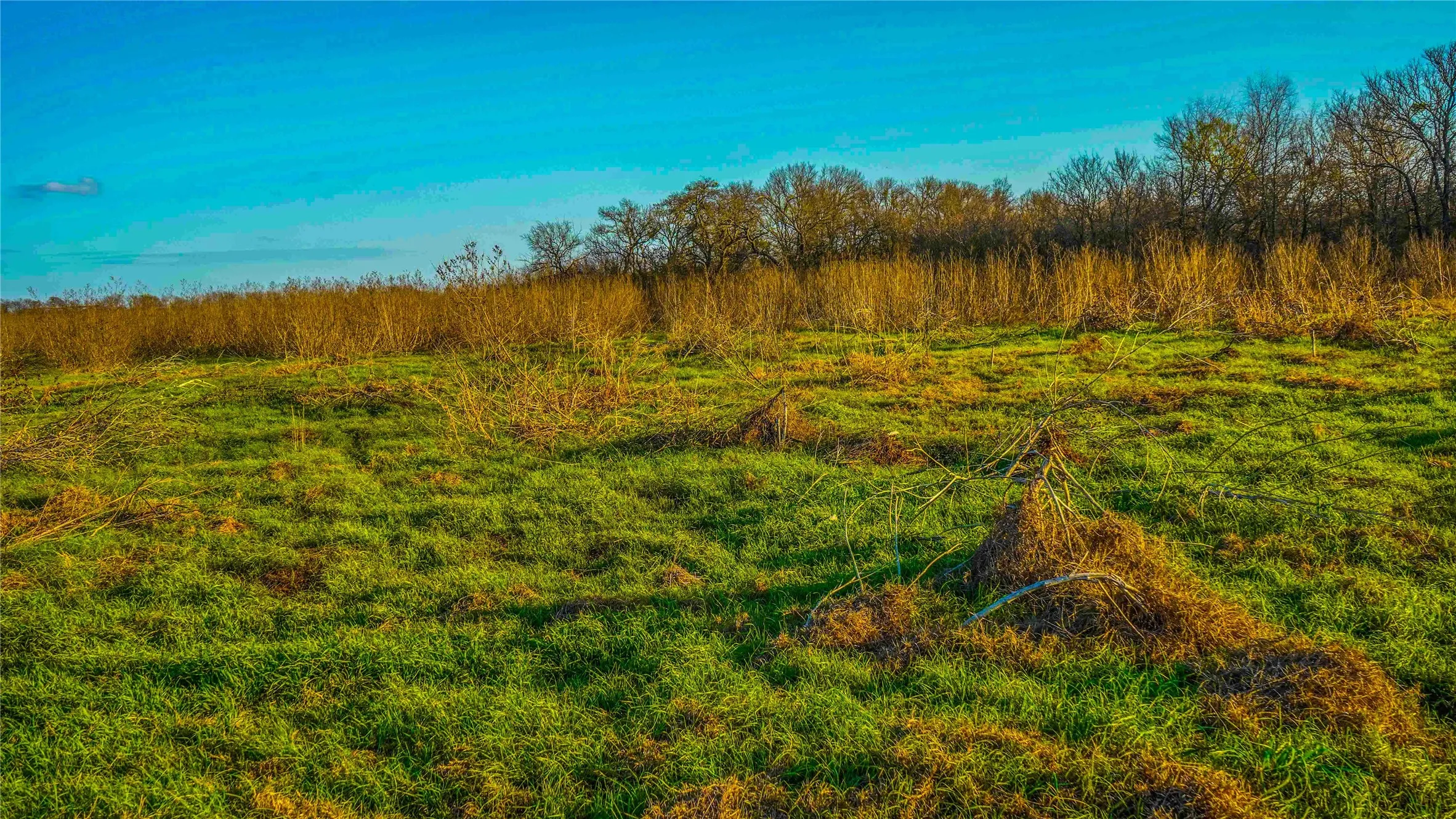Ranch For Sale in Bell County , 4480 Cen Tex Loop, Temple, Texas 76501, 0, 0, Garage spaces, 0 Sqft, built in 0, Price $500,000, mls#21155275, Real Estate Agent in Temple, Homes For Sale in Bell county, Homes For Sale in Temple, Realtor in Temple Texas, Real Estate Brokerage Independent Realty Texas, Luminita Cordes Realtor
