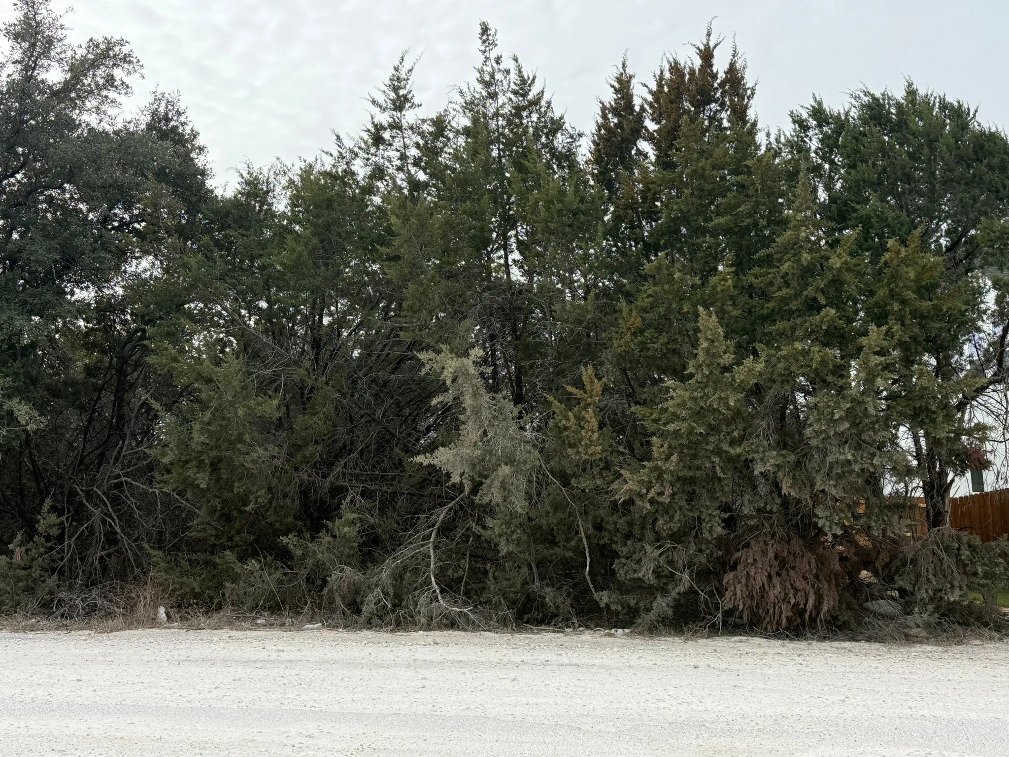 Unimproved Land For Sale in Hood County , 5614 Barkridge Drive, Granbury, Texas 76048, 0, 0, Garage spaces, 0 Sqft, built in 0, mls#21157104, Real Estate Agent in Granbury, Homes For Sale in Hood county, Homes For Sale in Granbury, Realtor in Granbury Texas, Real Estate Brokerage Independent Realty Texas, Luminita Cordes Realtor