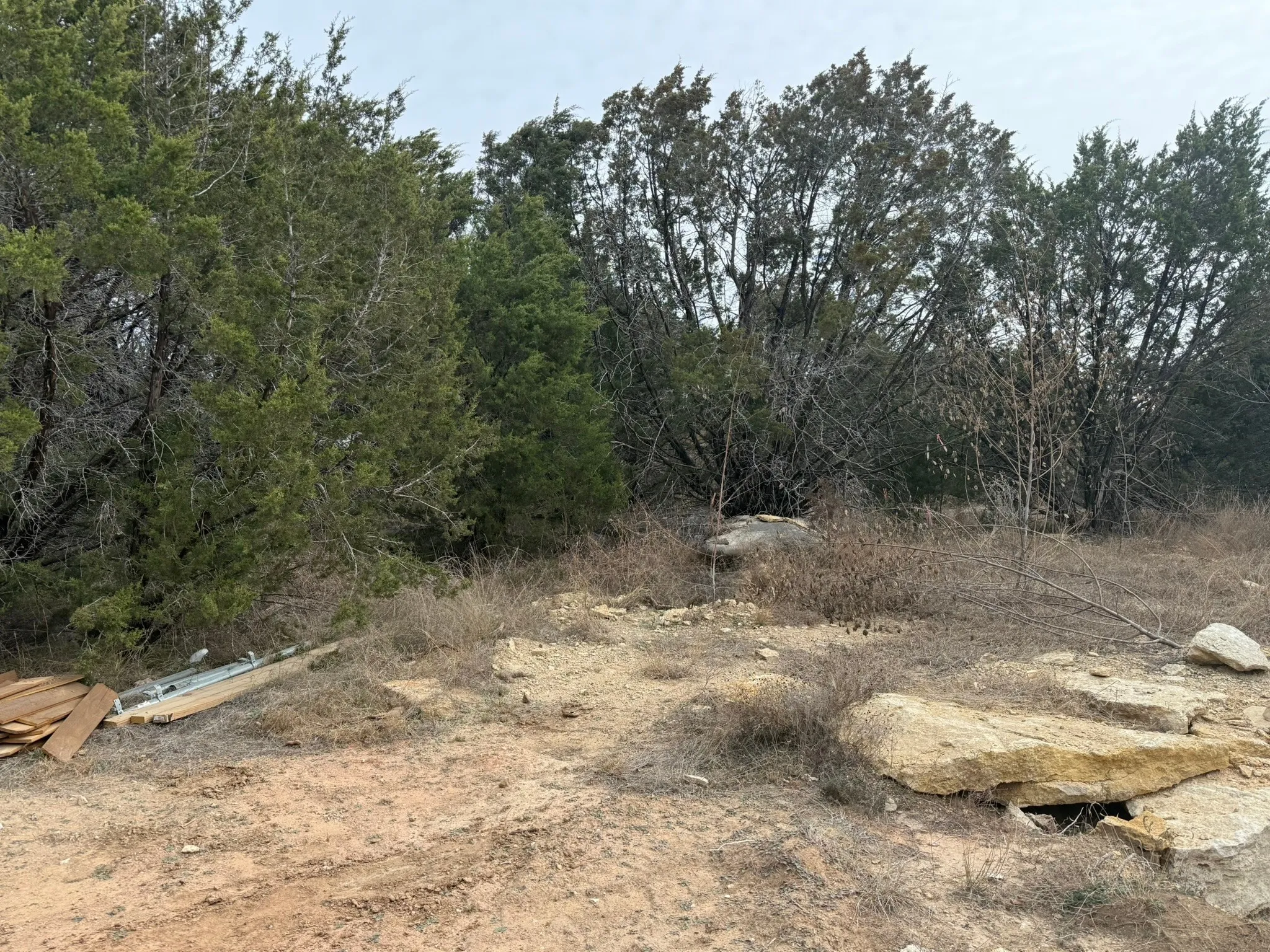 Back of lot