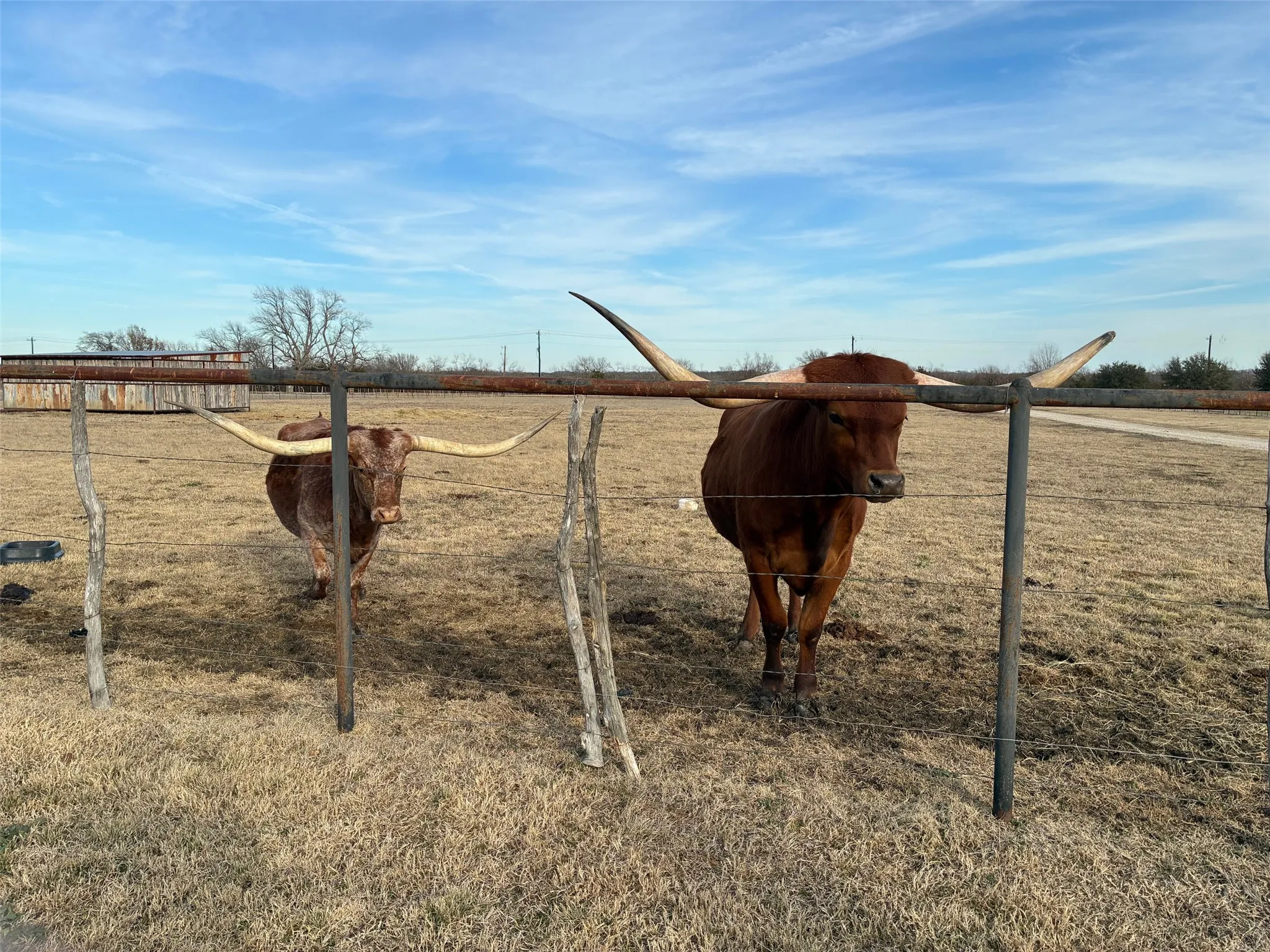 Bring your livestock! (These will be moving)