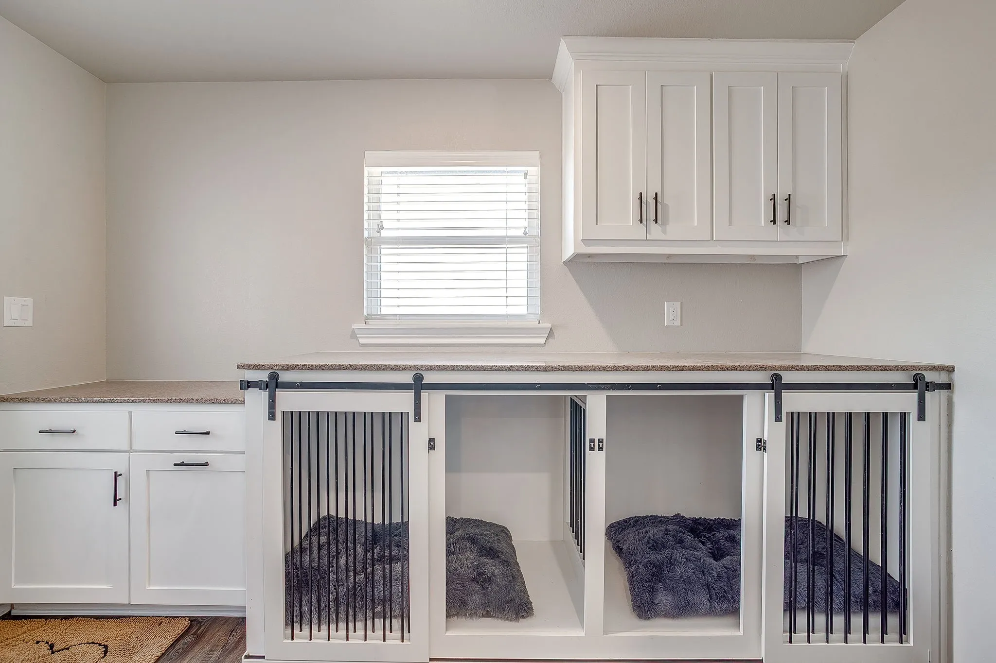 Dog Room