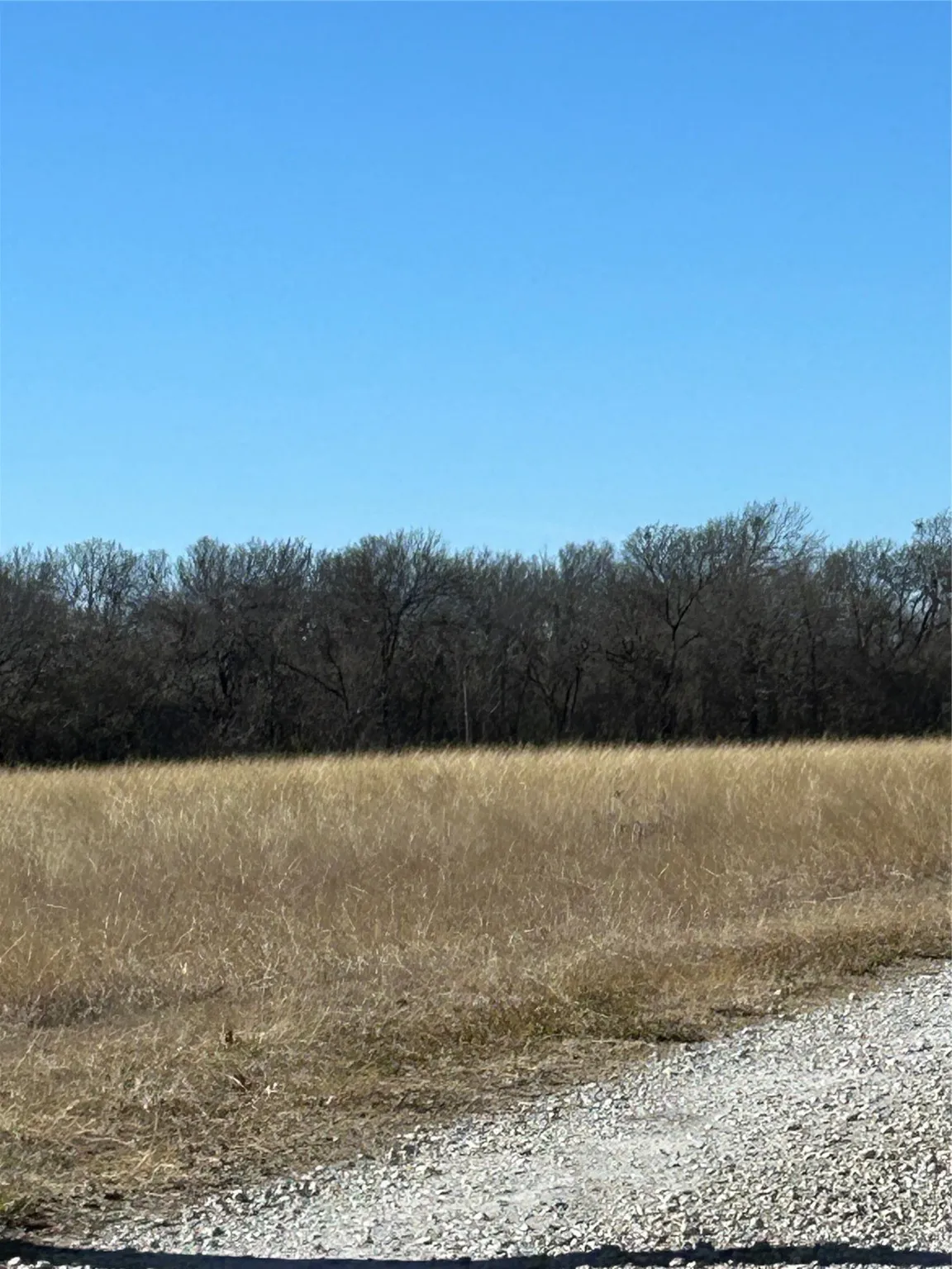 Unimproved Land For Sale in Grayson County , TBD Flanary, Sherman, Texas 75092, 0, 0, Garage spaces, 0 Sqft, built in 0, Price $1,398,000, mls#21157463, Real Estate Agent in Sherman, Homes For Sale in Grayson county, Homes For Sale in Sherman, Realtor in Sherman Texas, Real Estate Brokerage Independent Realty Texas, Luminita Cordes Realtor