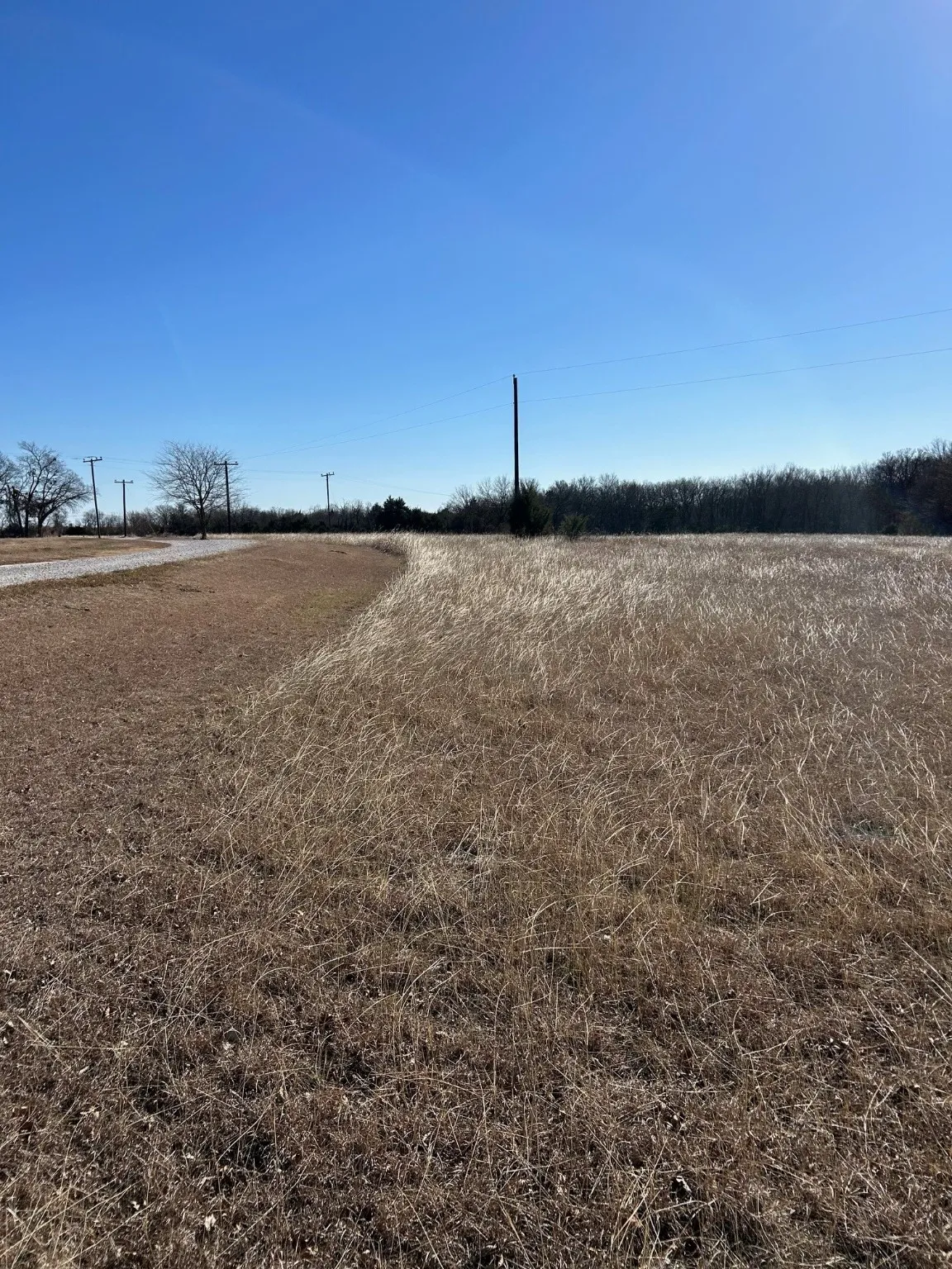 Unimproved Land For Sale in Grayson County , TBD Flanary, Sherman, Texas 75092, 0, 0, Garage spaces, 0 Sqft, built in 0, Price $1,398,000, mls#21157463, Real Estate Agent in Sherman, Homes For Sale in Grayson county, Homes For Sale in Sherman, Realtor in Sherman Texas, Real Estate Brokerage Independent Realty Texas, Luminita Cordes Realtor