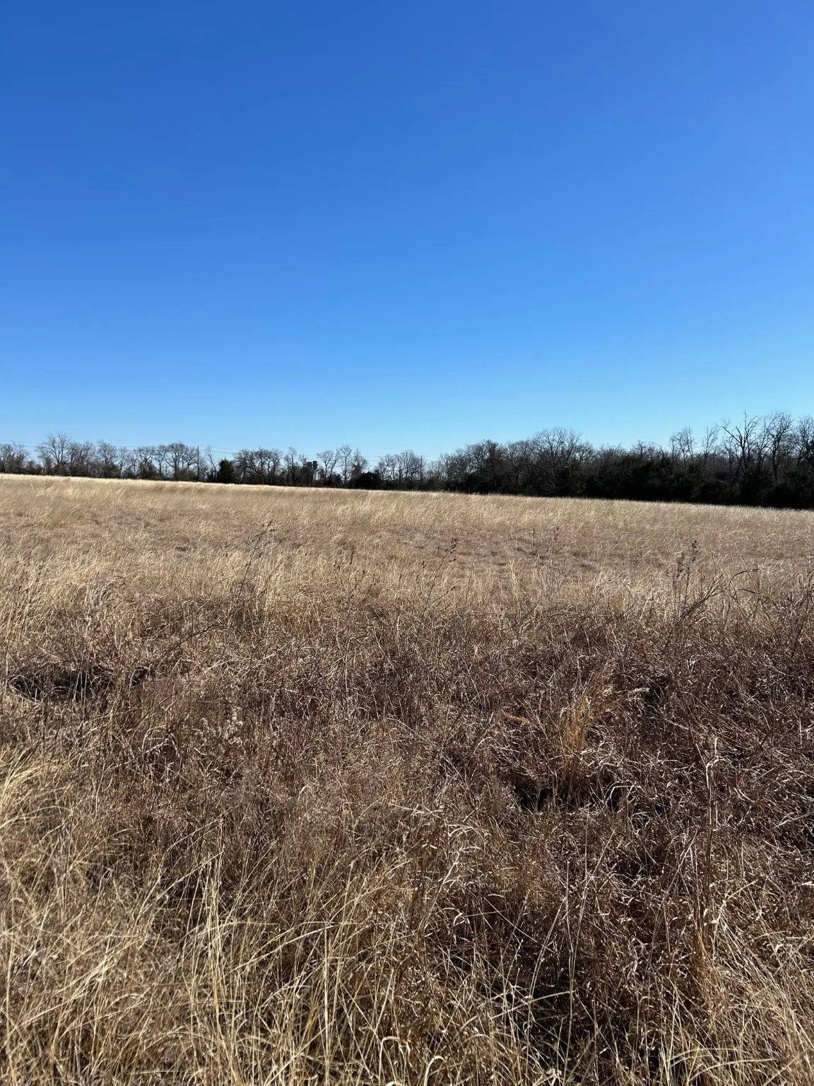 Unimproved Land For Sale in Grayson County , TBD Flanary, Sherman, Texas 75092, 0, 0, Garage spaces, 0 Sqft, built in 0, Price $1,398,000, mls#21157463, Real Estate Agent in Sherman, Homes For Sale in Grayson county, Homes For Sale in Sherman, Realtor in Sherman Texas, Real Estate Brokerage Independent Realty Texas, Luminita Cordes Realtor