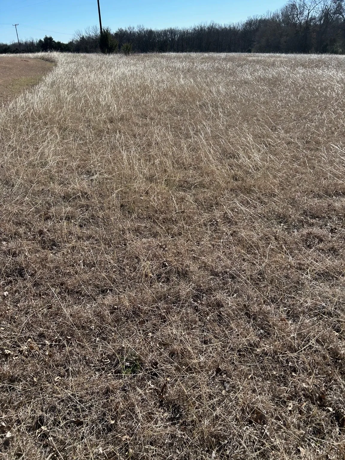 Unimproved Land For Sale in Grayson County , TBD Flanary, Sherman, Texas 75092, 0, 0, Garage spaces, 0 Sqft, built in 0, Price $1,398,000, mls#21157463, Real Estate Agent in Sherman, Homes For Sale in Grayson county, Homes For Sale in Sherman, Realtor in Sherman Texas, Real Estate Brokerage Independent Realty Texas, Luminita Cordes Realtor