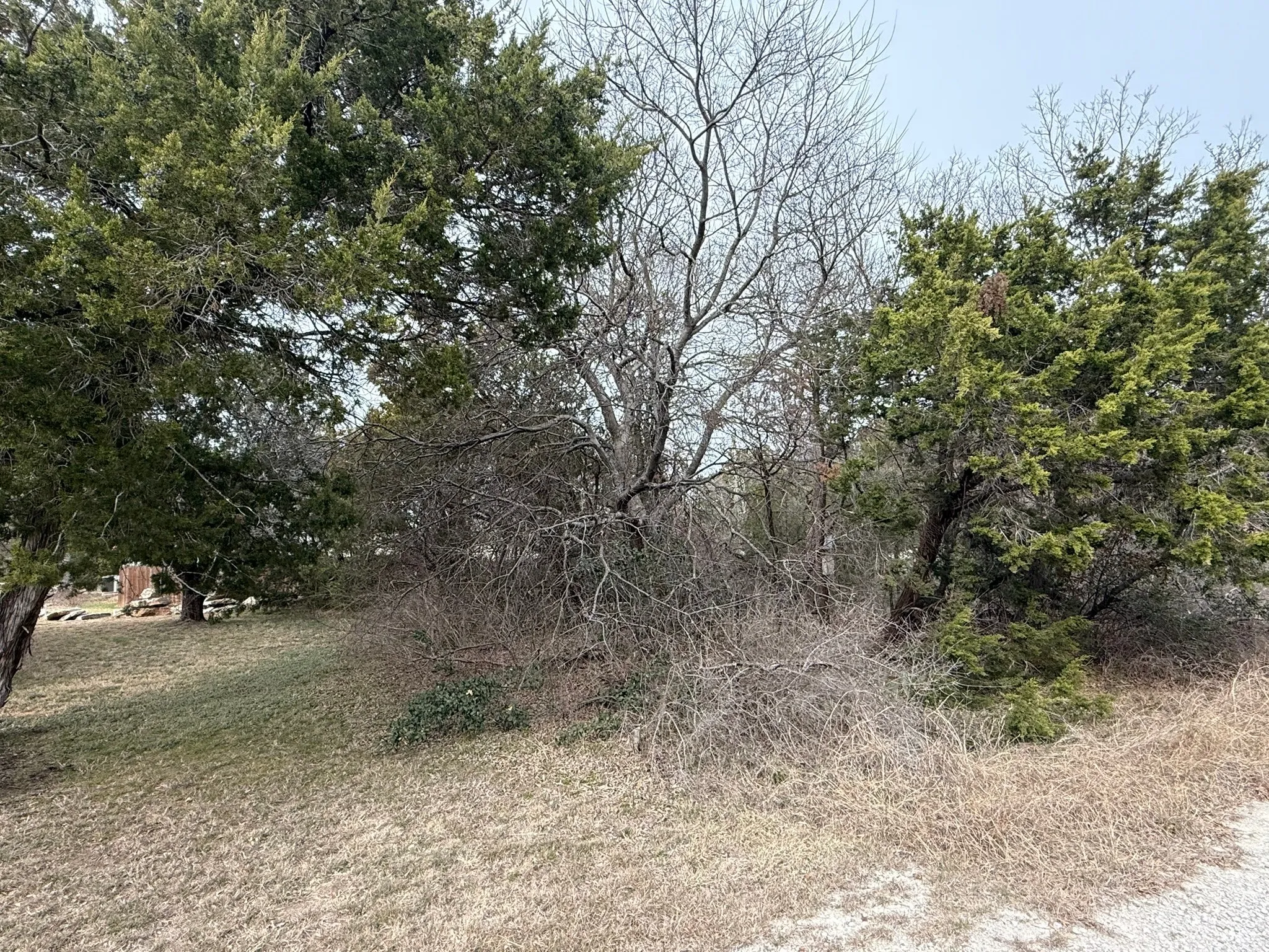Unimproved Land For Sale in Hood County , 2208 Sabine Street, Granbury, Texas 76048, 0, 0, Garage spaces, 0 Sqft, built in 0, mls#21157137, Real Estate Agent in Granbury, Homes For Sale in Hood county, Homes For Sale in Granbury, Realtor in Granbury Texas, Real Estate Brokerage Independent Realty Texas, Luminita Cordes Realtor