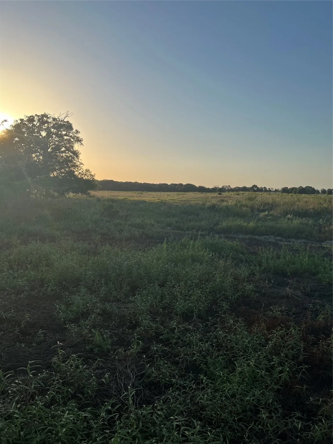 Unimproved Land For Sale in Hopkins County , 527 County Road 3351, Saltillo, Texas 75478, 0, 0, Garage spaces, 0 Sqft, built in 0, mls#21157773, Real Estate Agent in Saltillo, Homes For Sale in Hopkins county, Homes For Sale in Saltillo, Realtor in Saltillo Texas, Real Estate Brokerage Independent Realty Texas, Luminita Cordes Realtor