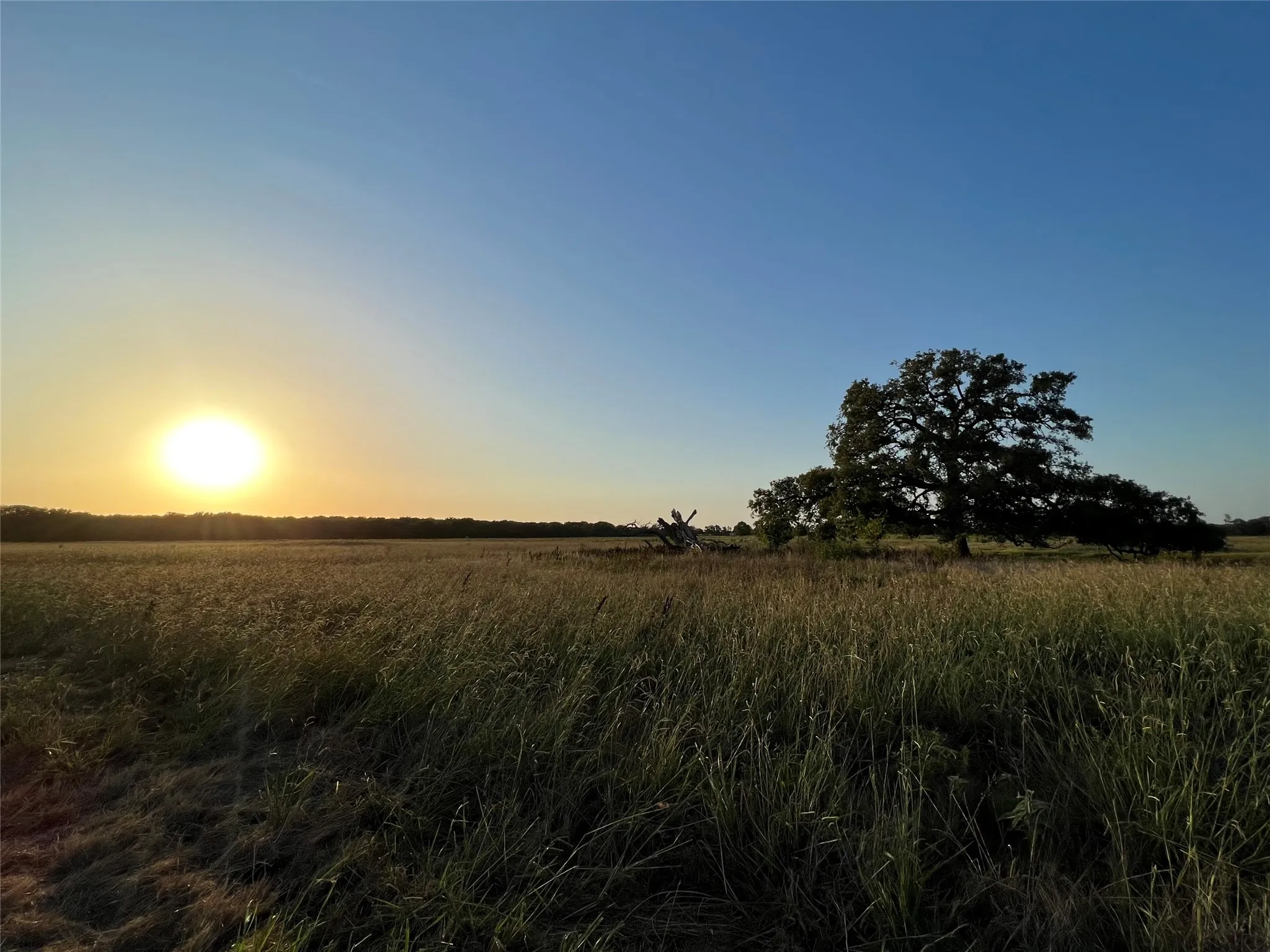 Unimproved Land For Sale in Hopkins County , 527 County Road 3351, Saltillo, Texas 75478, 0, 0, Garage spaces, 0 Sqft, built in 0, mls#21157773, Real Estate Agent in Saltillo, Homes For Sale in Hopkins county, Homes For Sale in Saltillo, Realtor in Saltillo Texas, Real Estate Brokerage Independent Realty Texas, Luminita Cordes Realtor