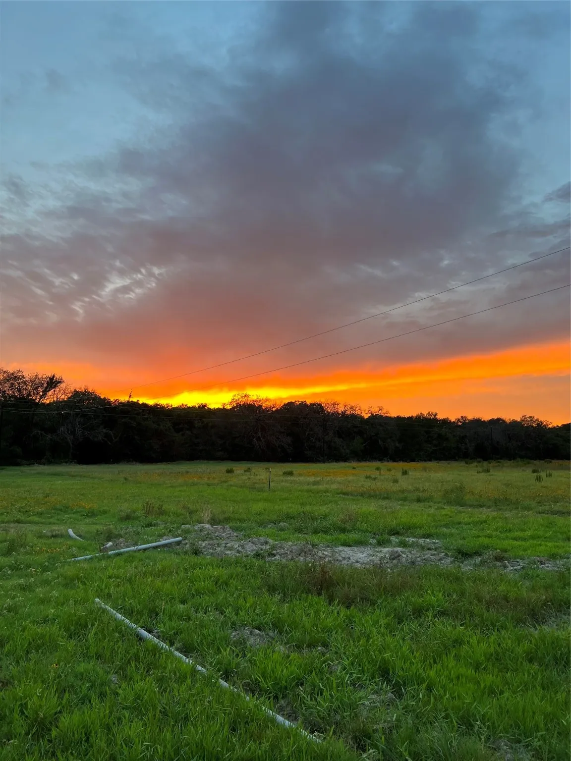 Unimproved Land For Sale in Hopkins County , 527 County Road 3351, Saltillo, Texas 75478, 0, 0, Garage spaces, 0 Sqft, built in 0, mls#21157773, Real Estate Agent in Saltillo, Homes For Sale in Hopkins county, Homes For Sale in Saltillo, Realtor in Saltillo Texas, Real Estate Brokerage Independent Realty Texas, Luminita Cordes Realtor