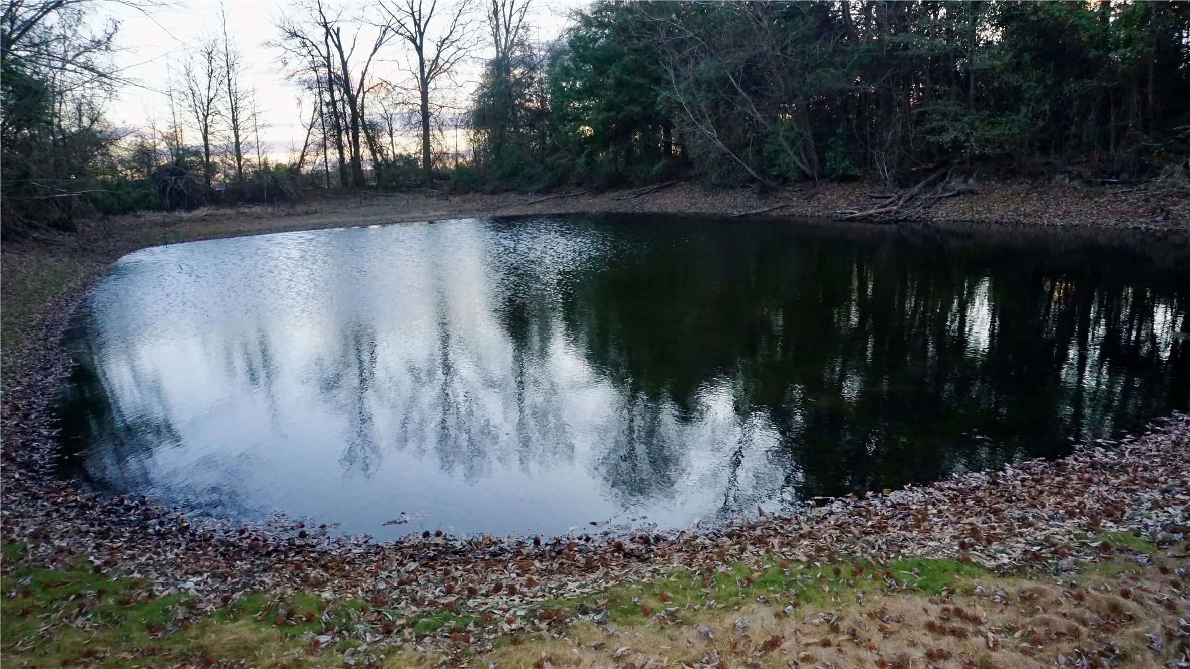 Unimproved Land For Sale in Wood County , 0000 Hwy 37, Quitman, Texas 75783, 0, 0, Garage spaces, 0 Sqft, built in 0, Price $450,000, mls#21157779, Real Estate Agent in Quitman, Homes For Sale in Wood county, Homes For Sale in Quitman, Realtor in Quitman Texas, Real Estate Brokerage Independent Realty Texas, Luminita Cordes Realtor